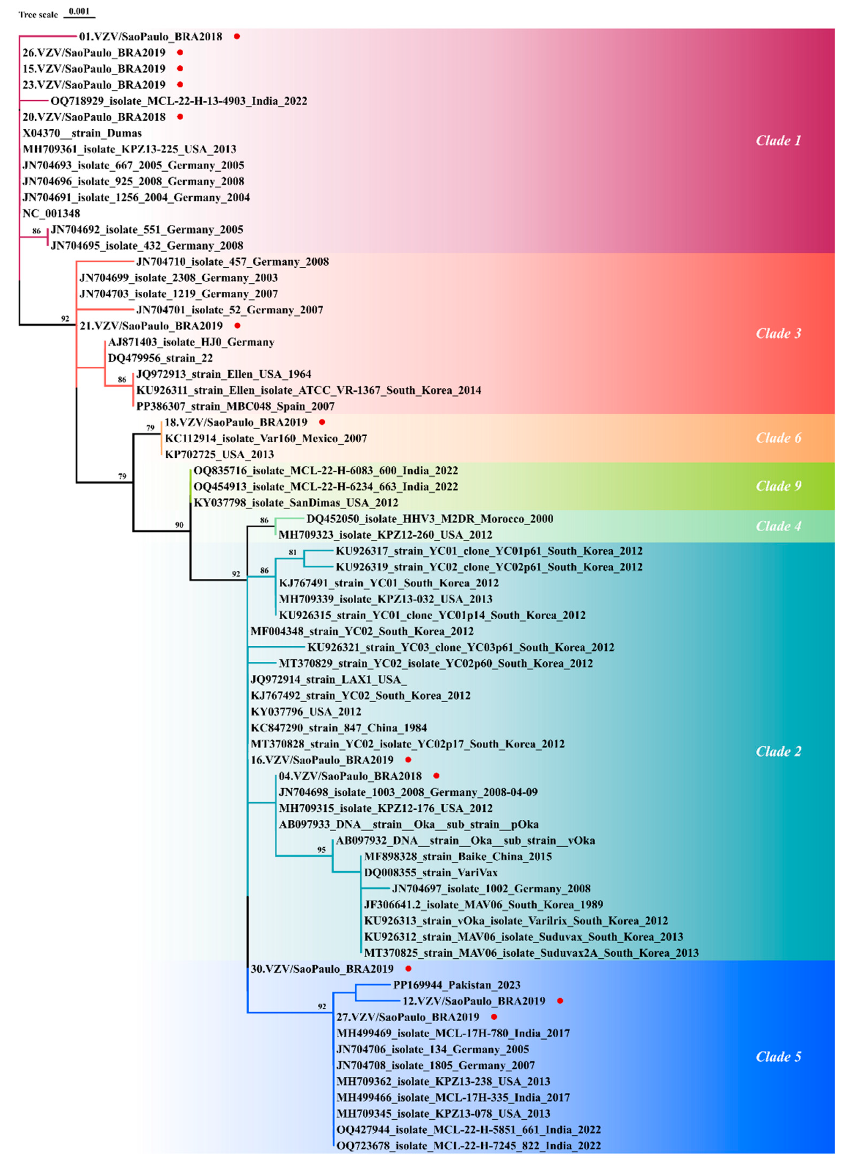 Viruses 17 00286 g003 Viruses 17 00286 g003