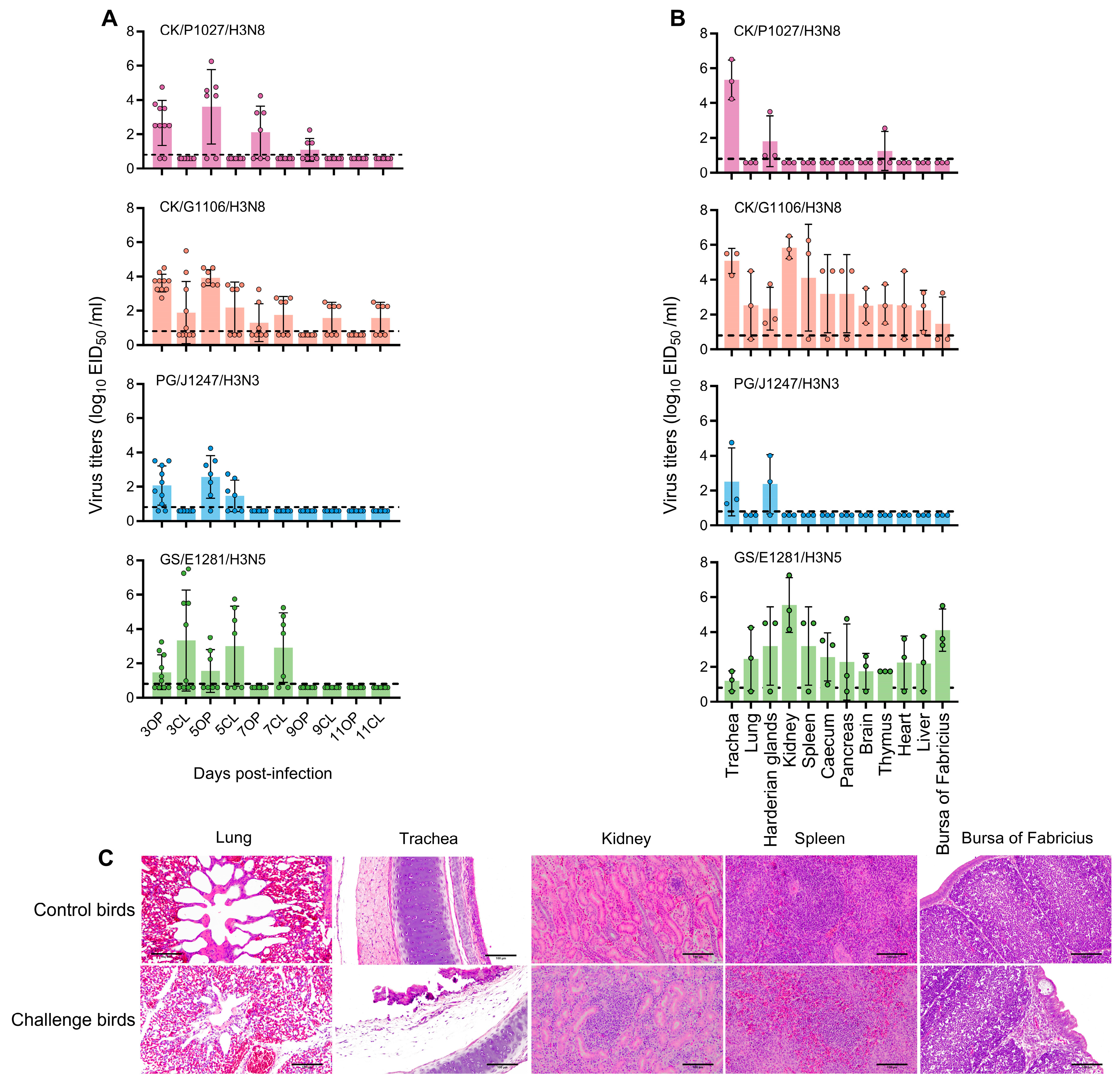 Viruses 17 00288 g002
