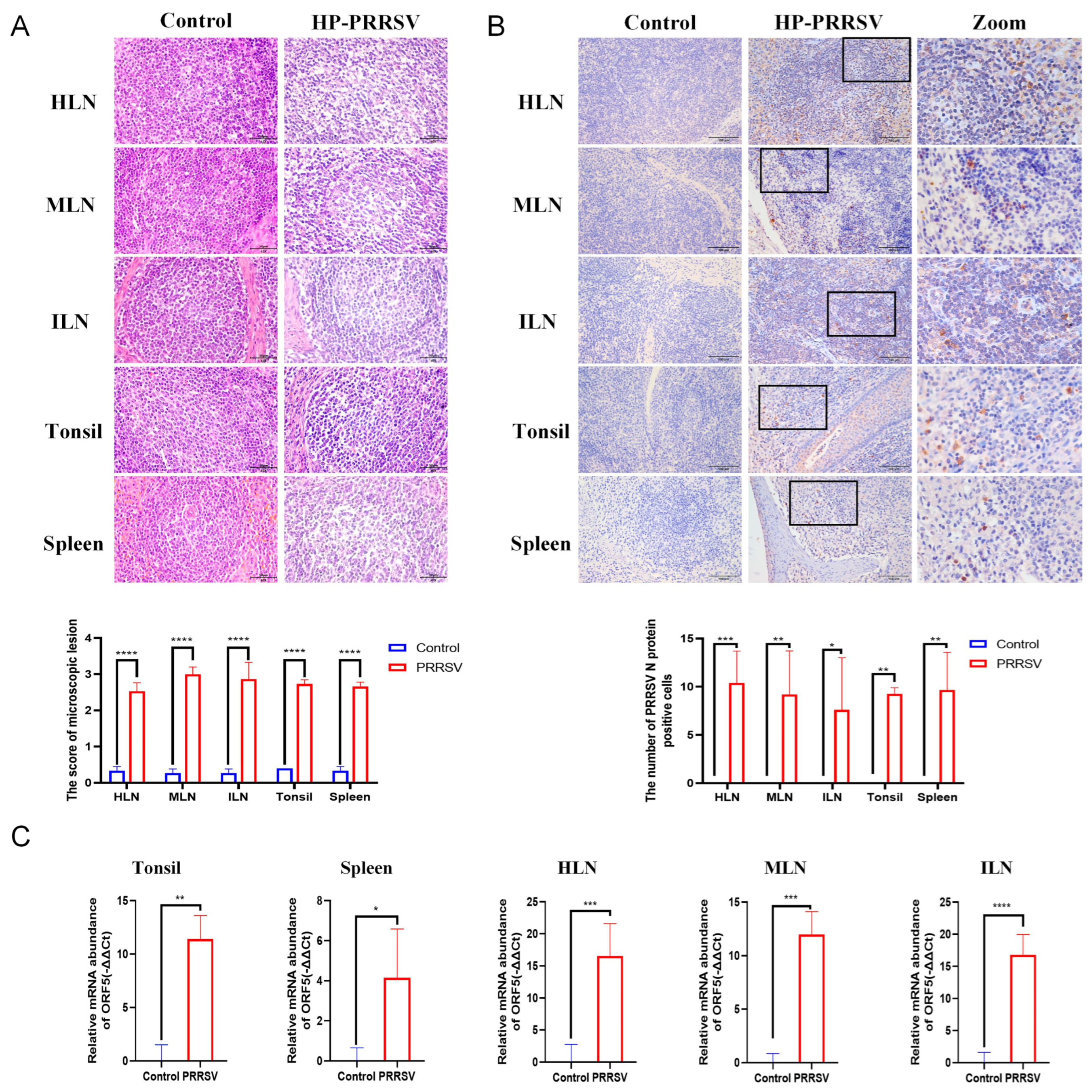 Viruses 17 00290 g001