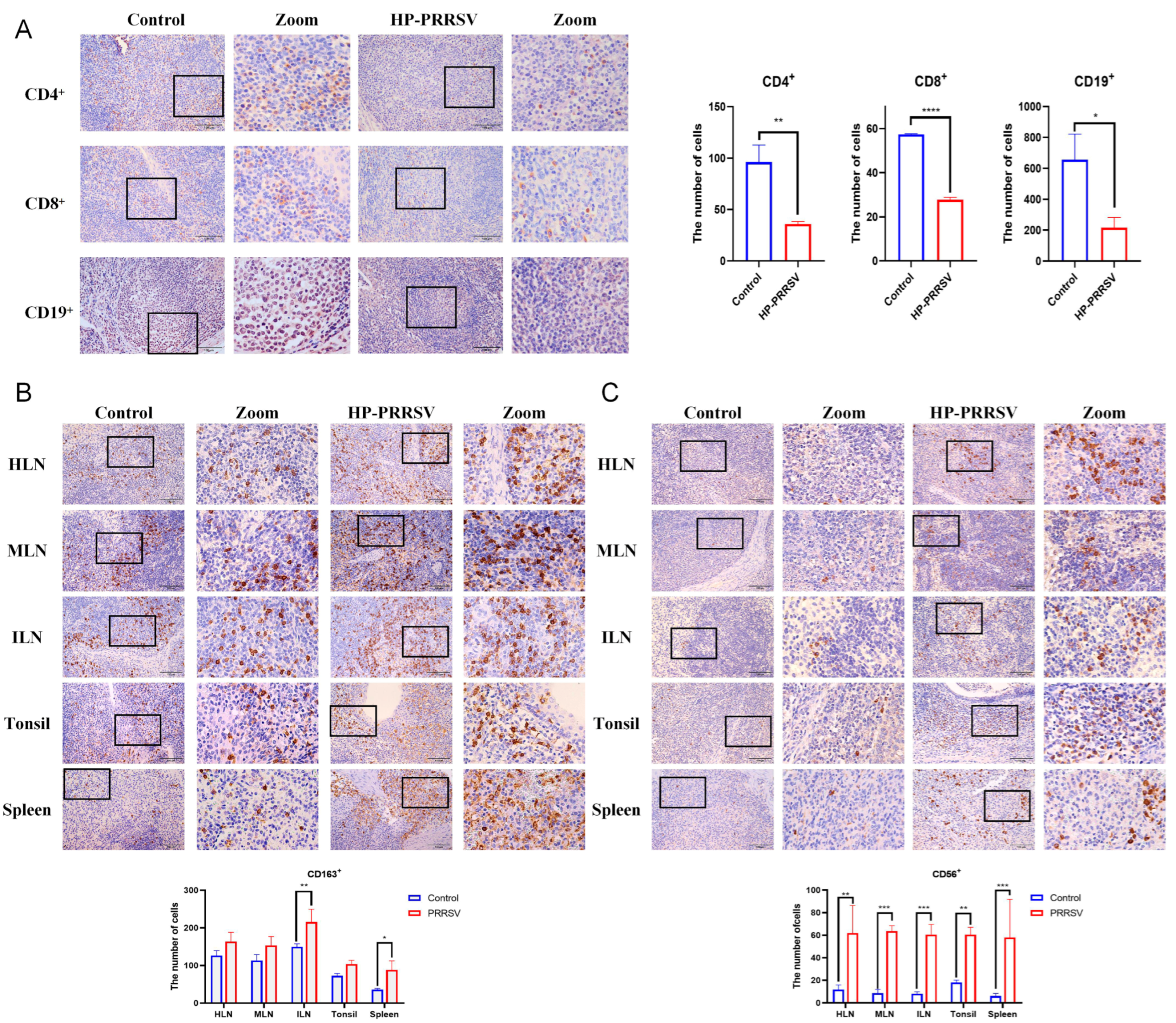 Viruses 17 00290 g002