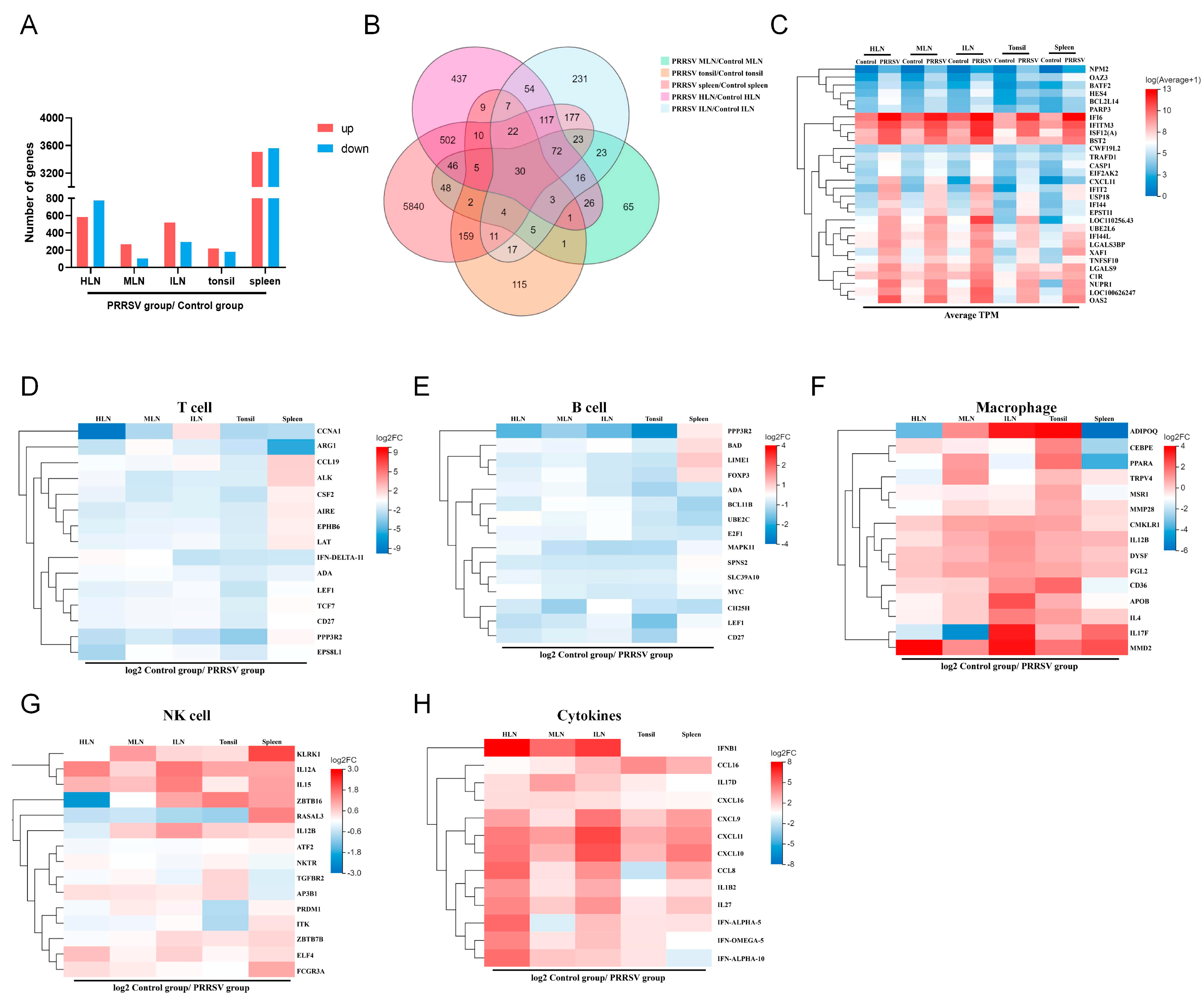 Viruses 17 00290 g003