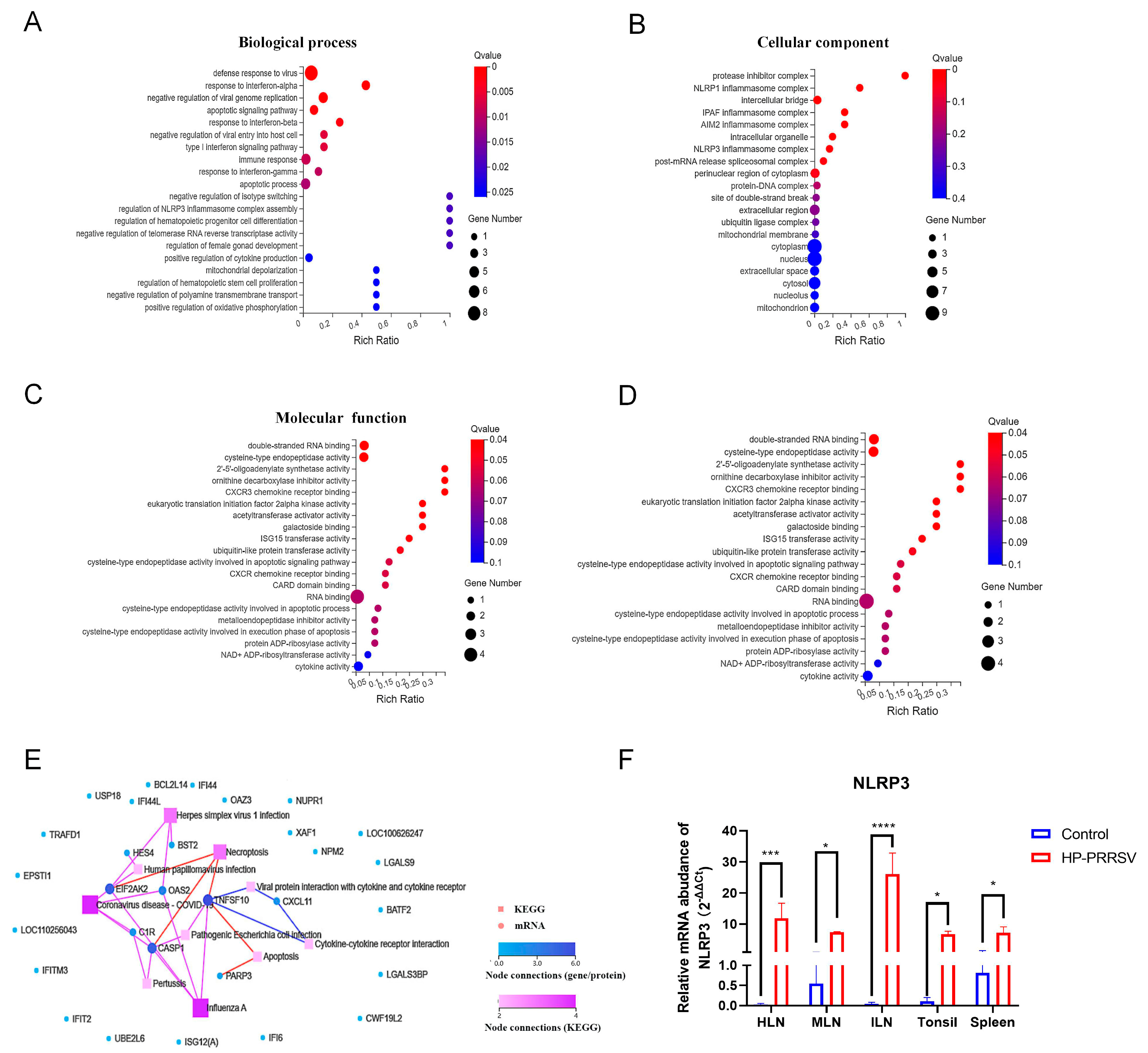 Viruses 17 00290 g004