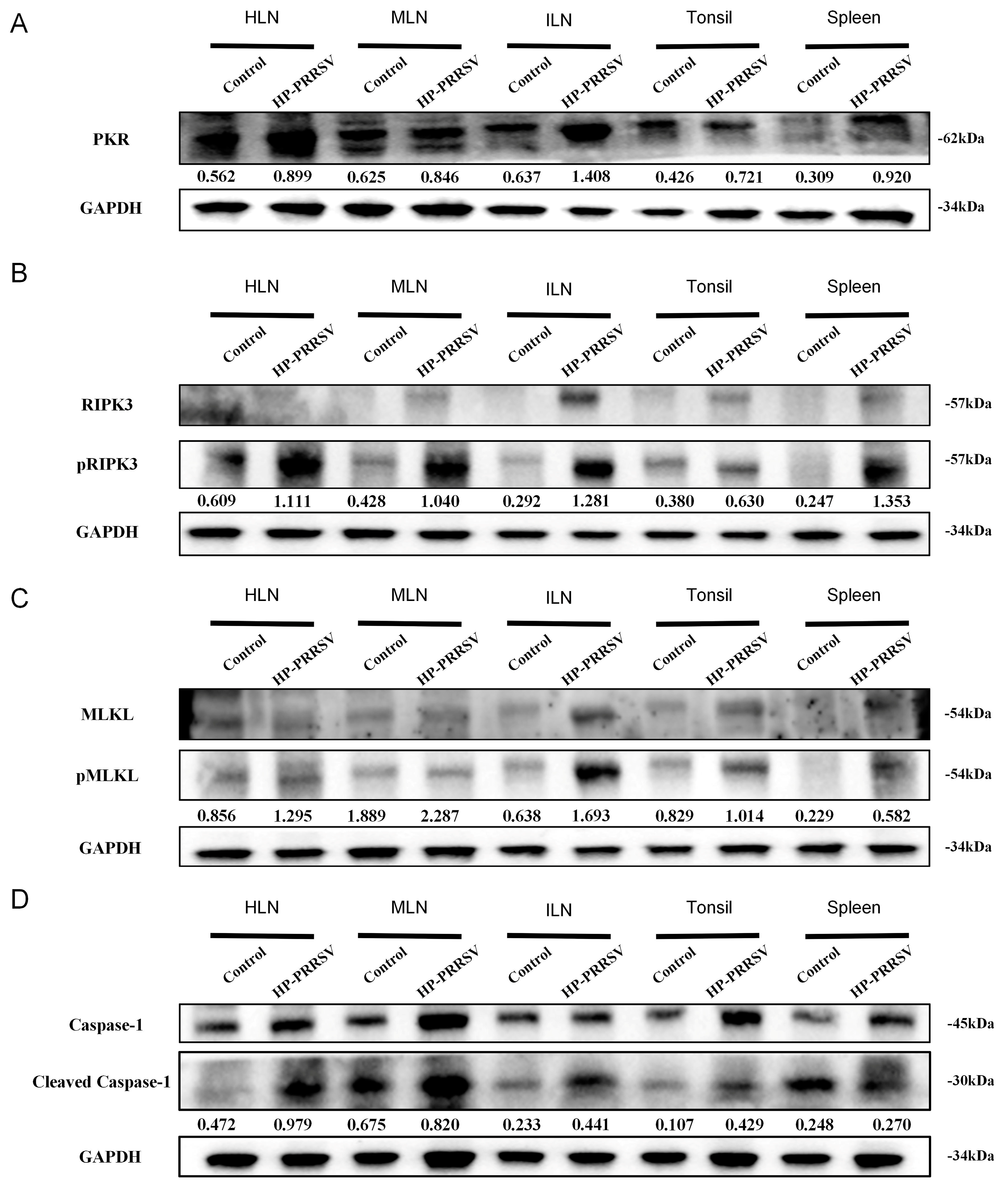 Viruses 17 00290 g005