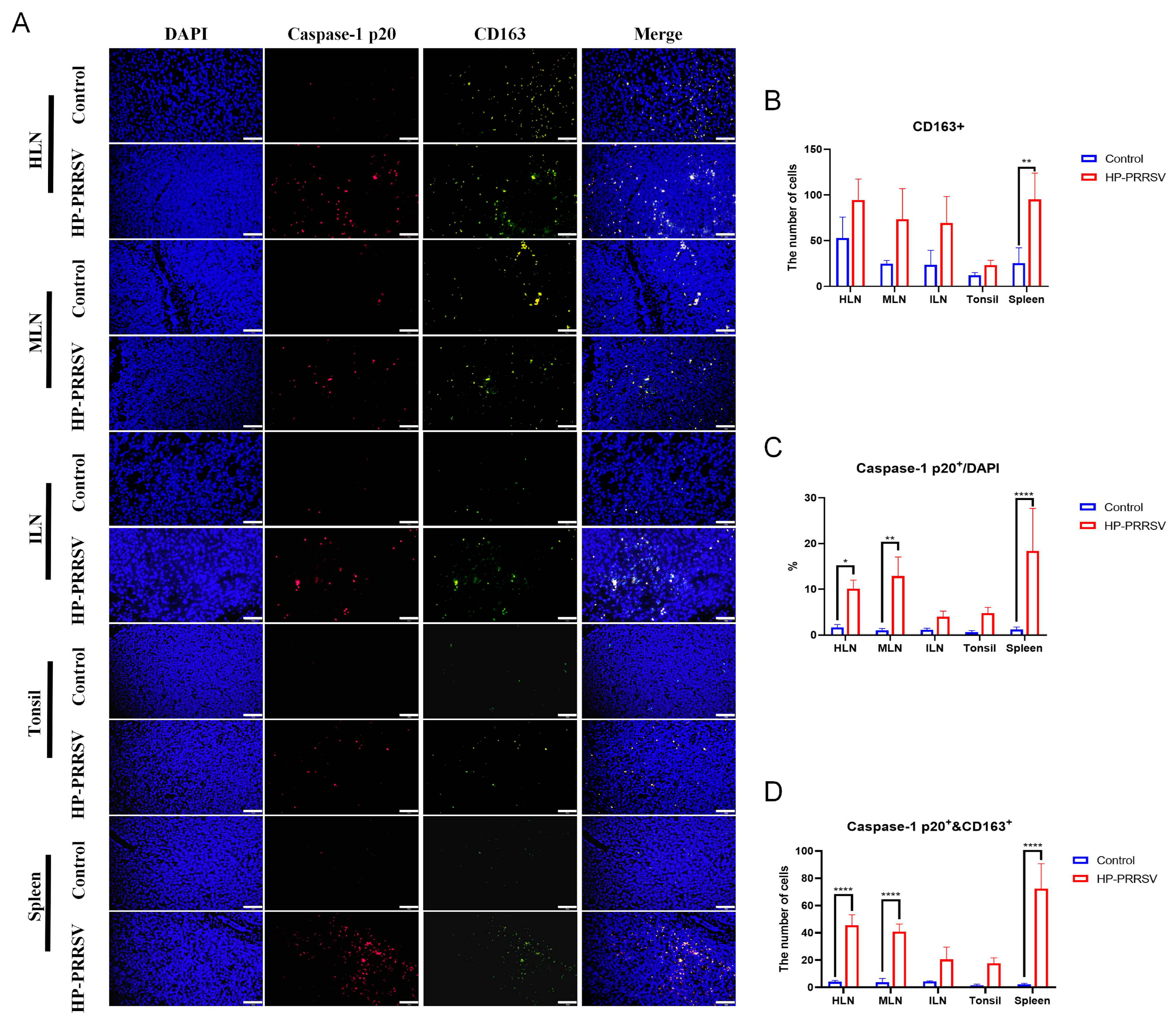 Viruses 17 00290 g006