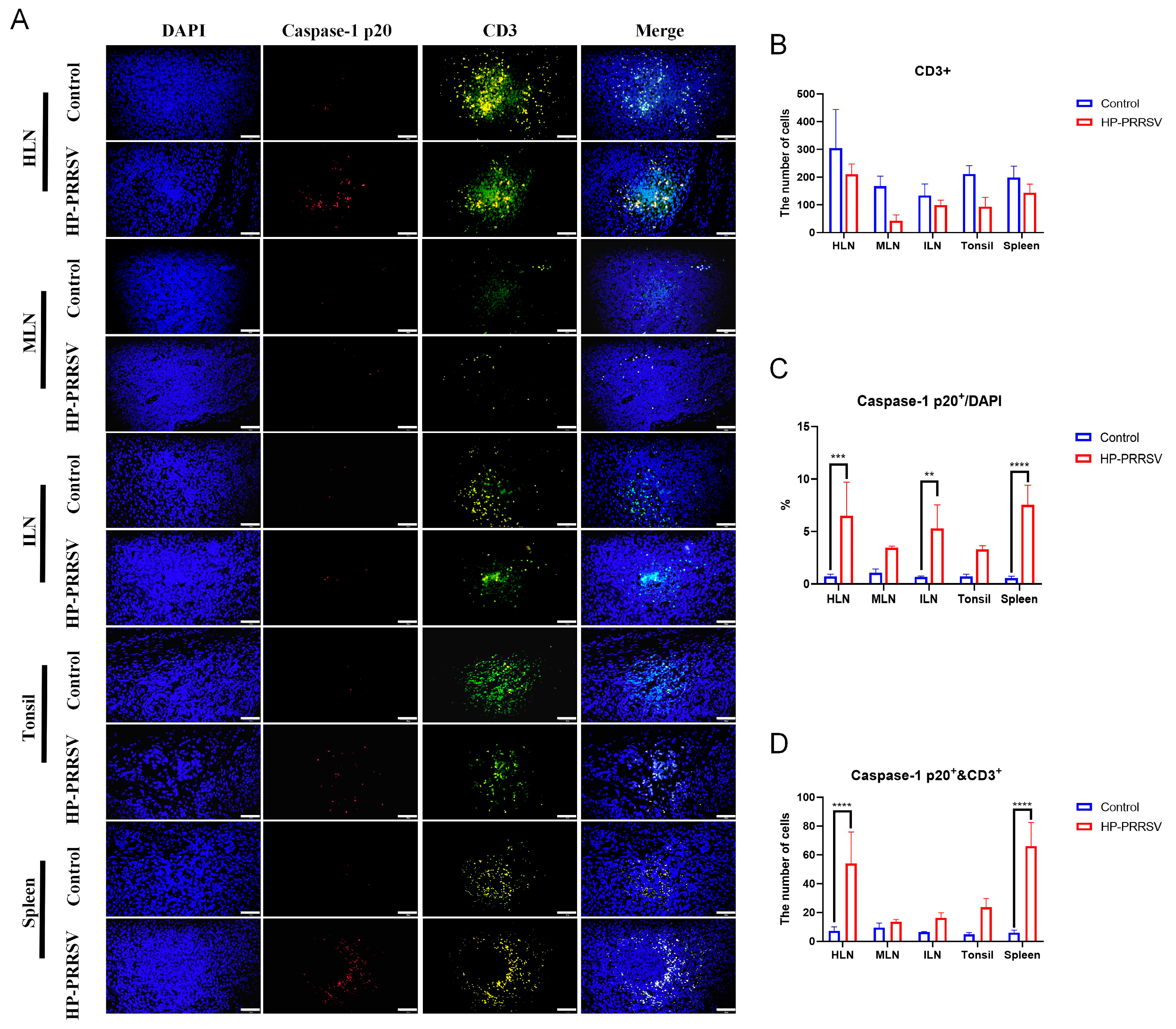 Viruses 17 00290 g007