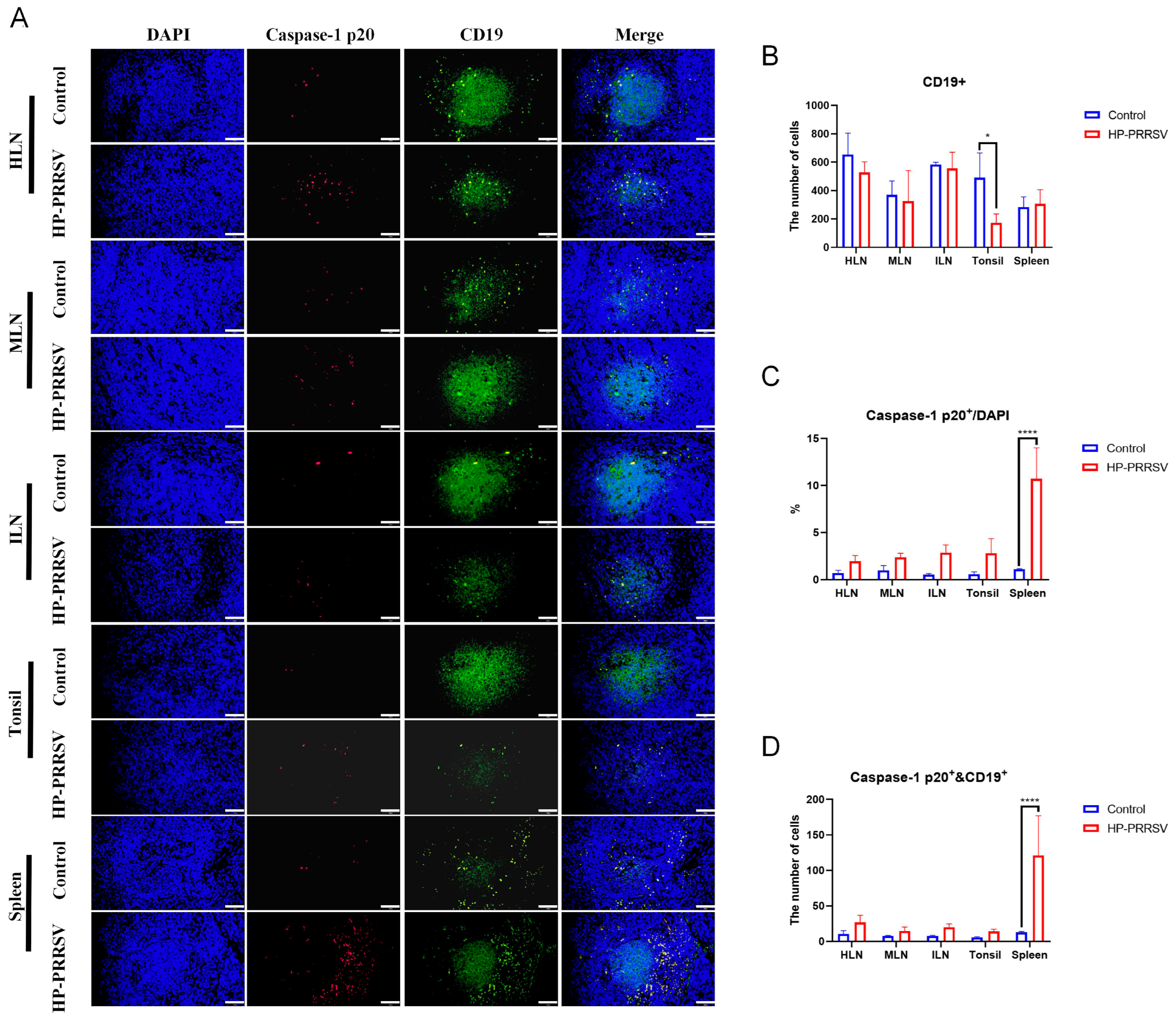 Viruses 17 00290 g008