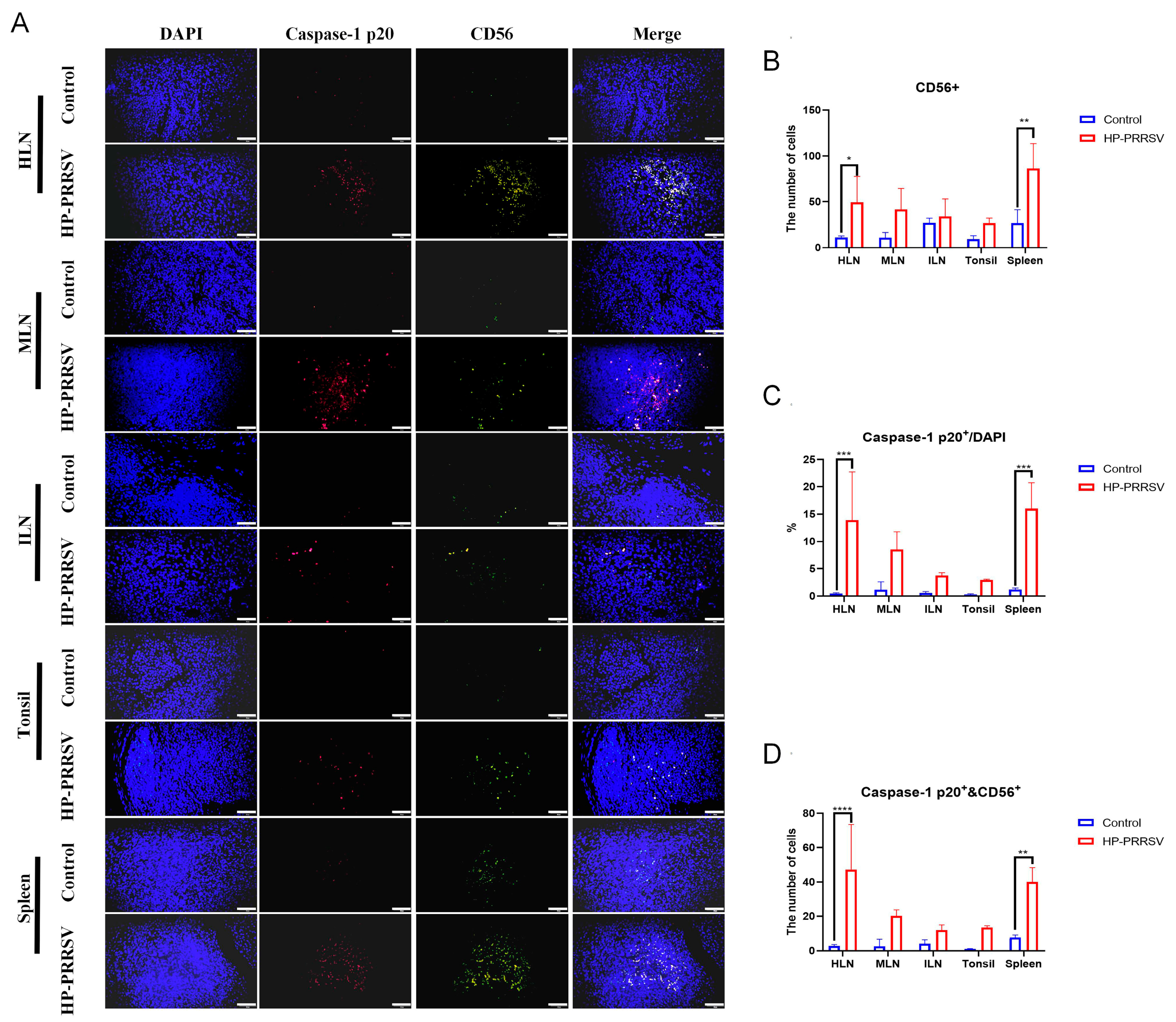 Viruses 17 00290 g009