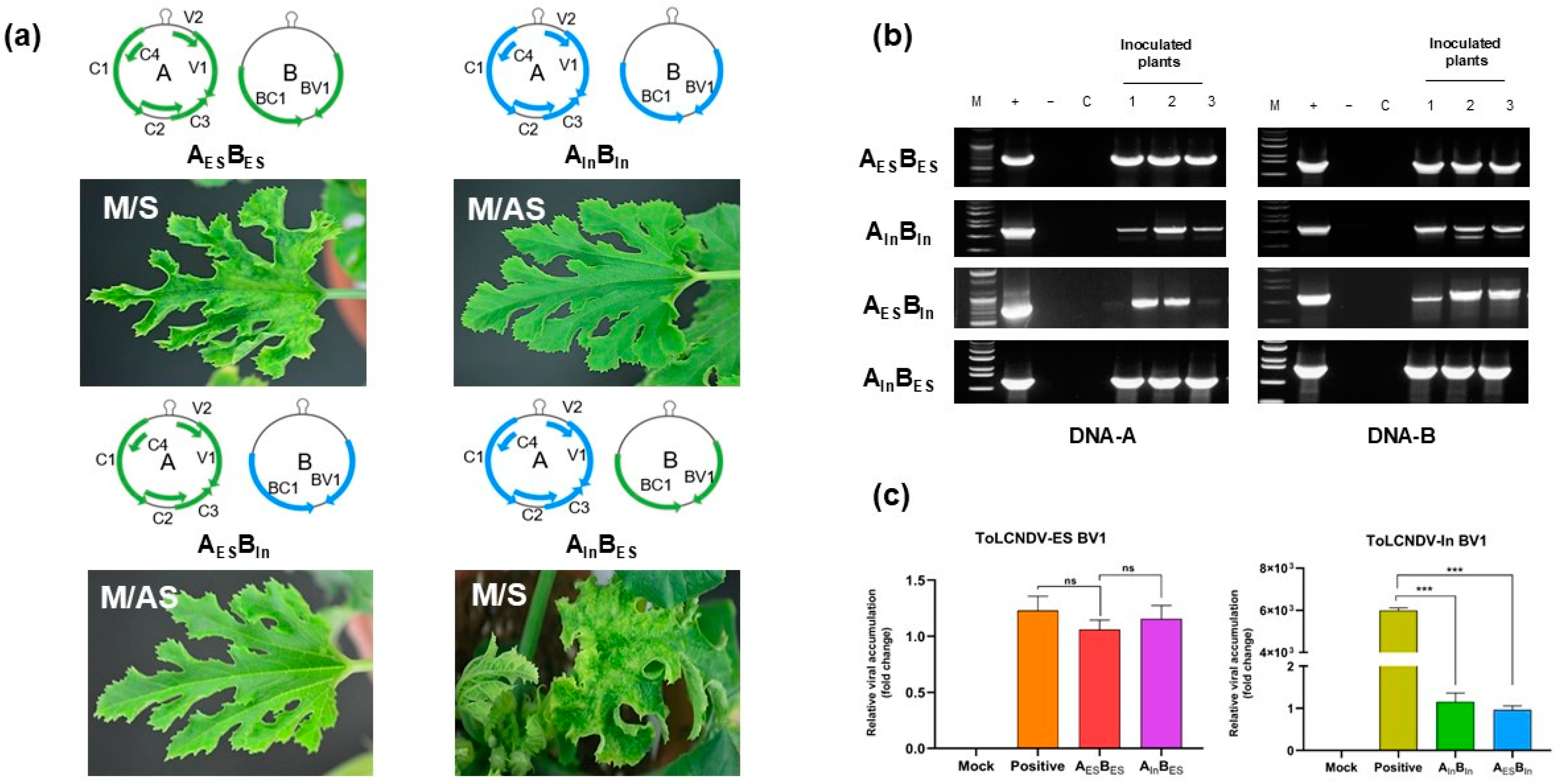 Viruses 17 00294 g002