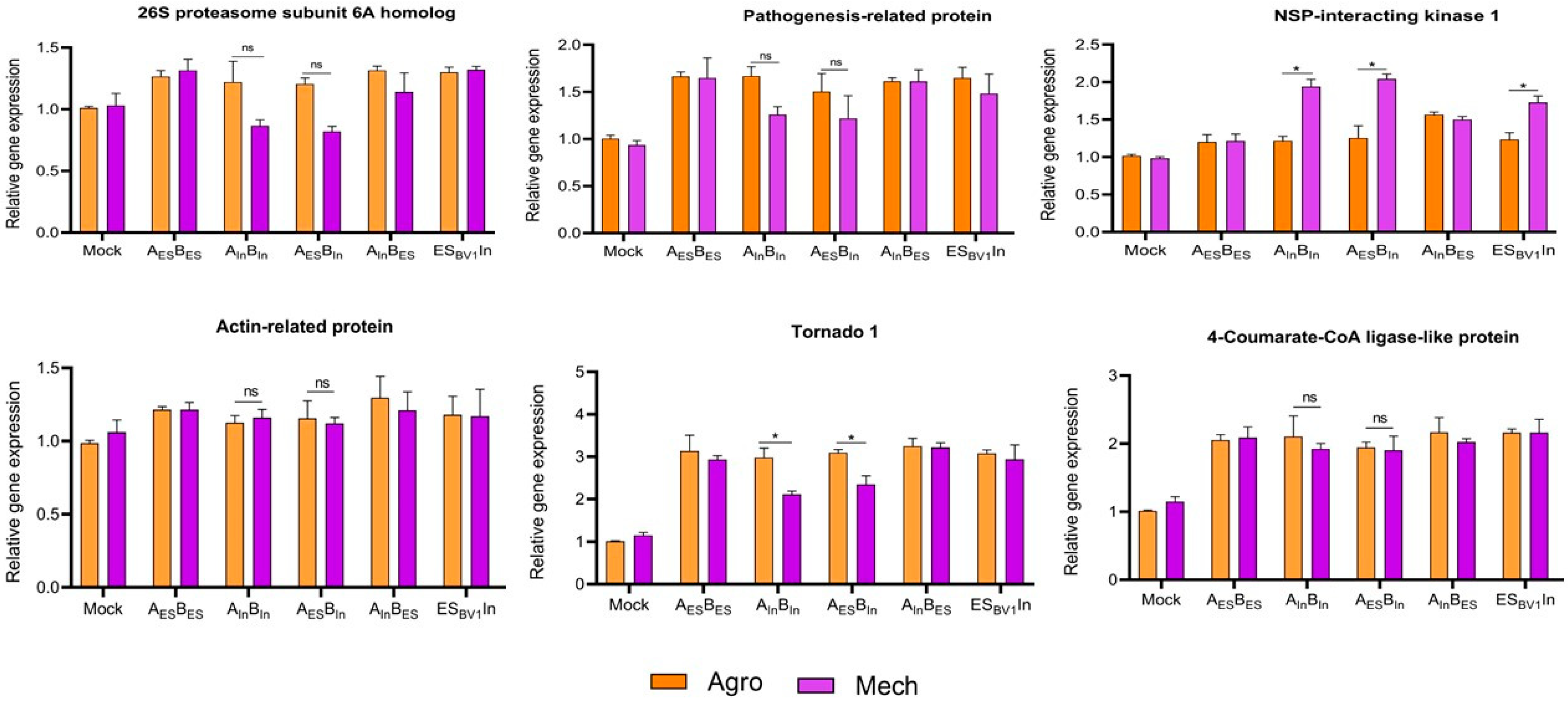 Viruses 17 00294 g006