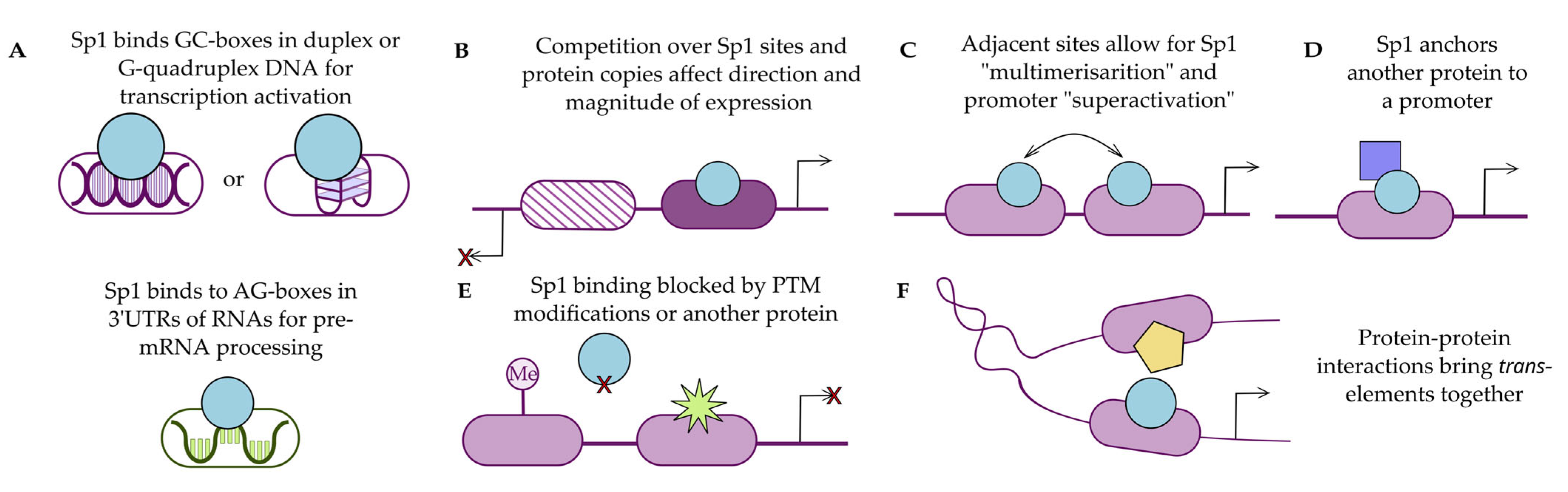 Viruses 17 00295 g002 Viruses 17 00295 g002