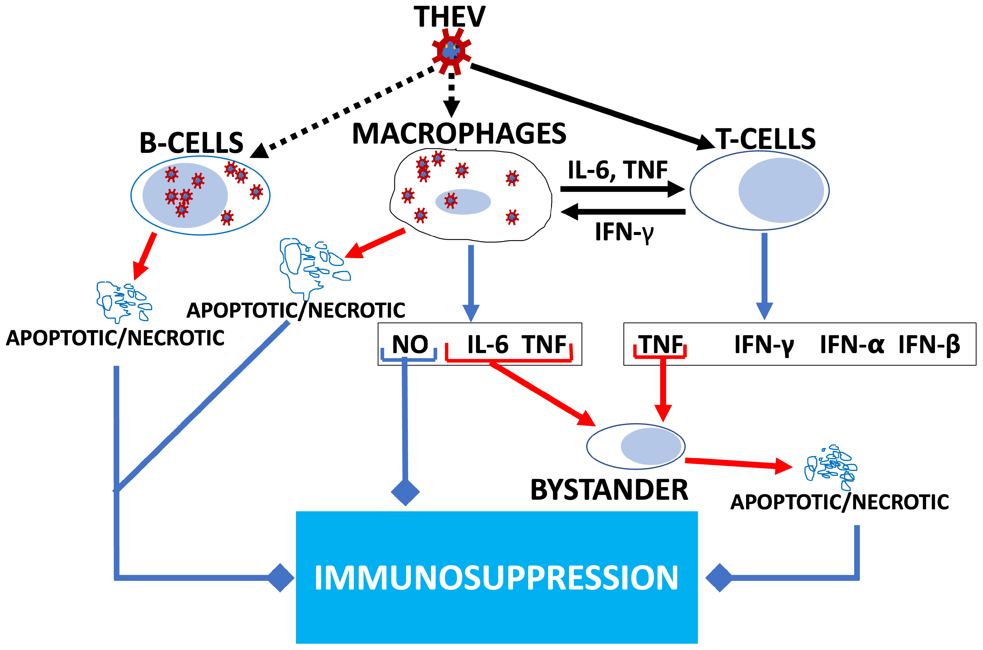 Viruses 17 00299 g001