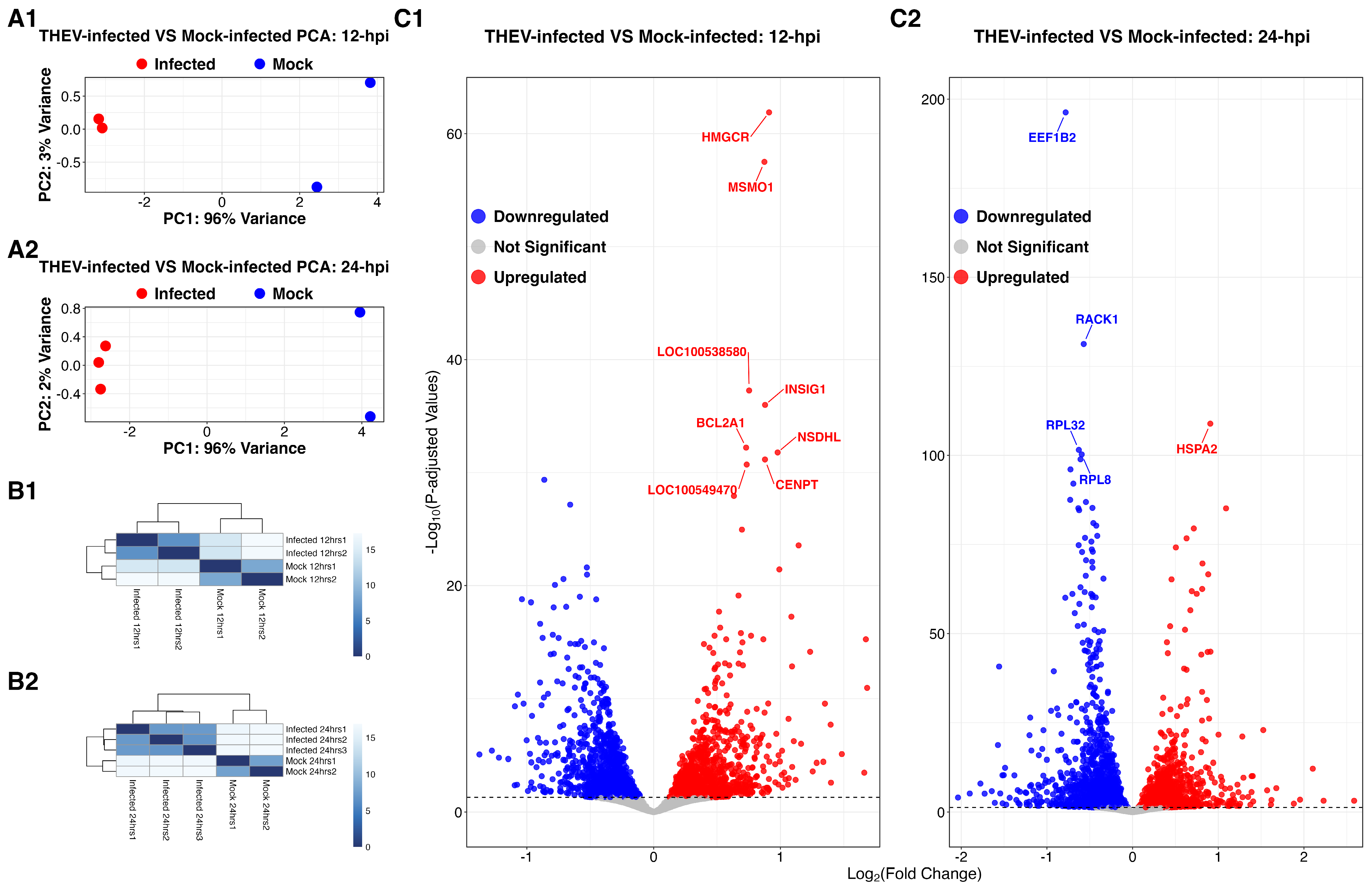 Viruses 17 00299 g002