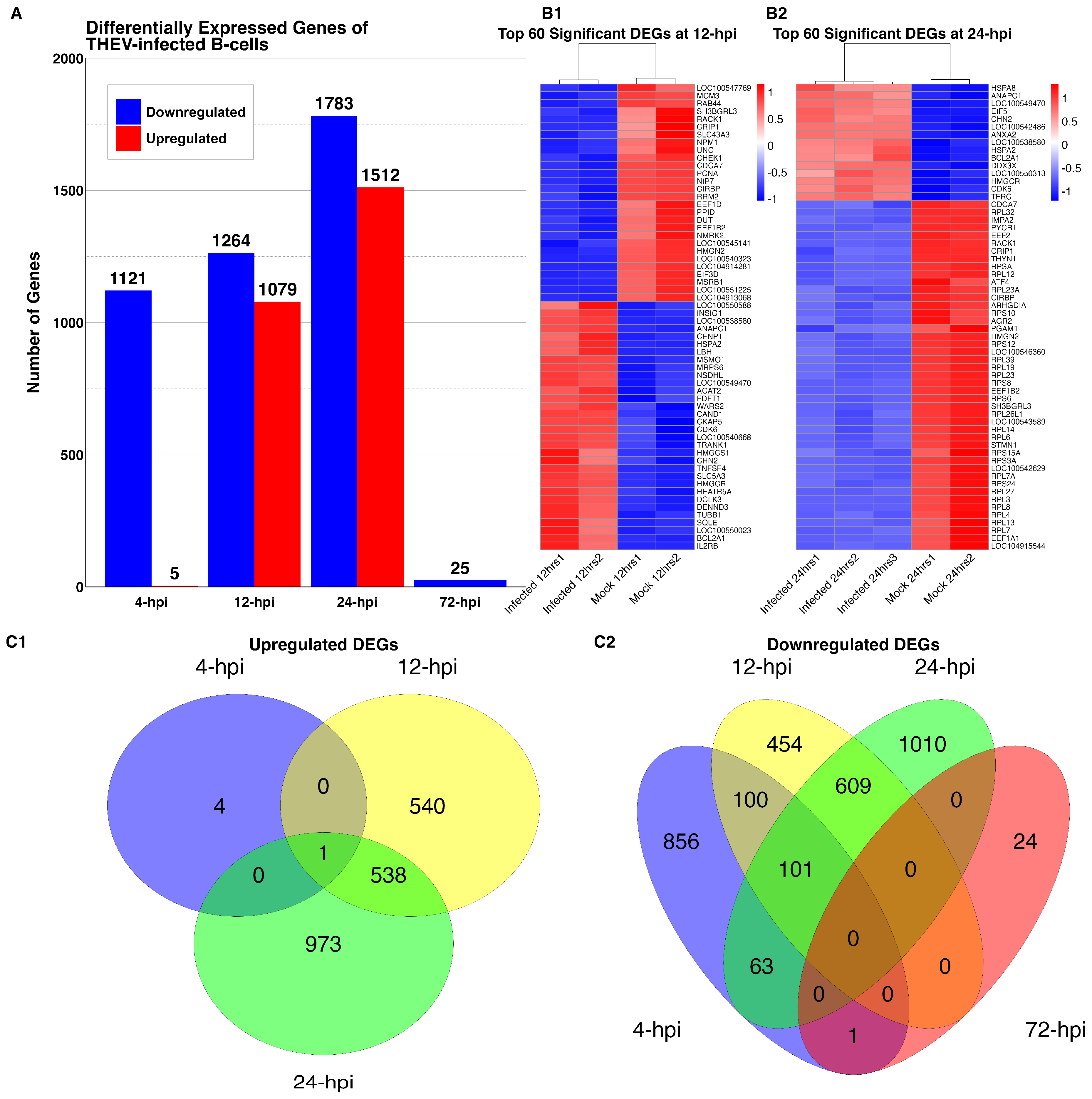 Viruses 17 00299 g003