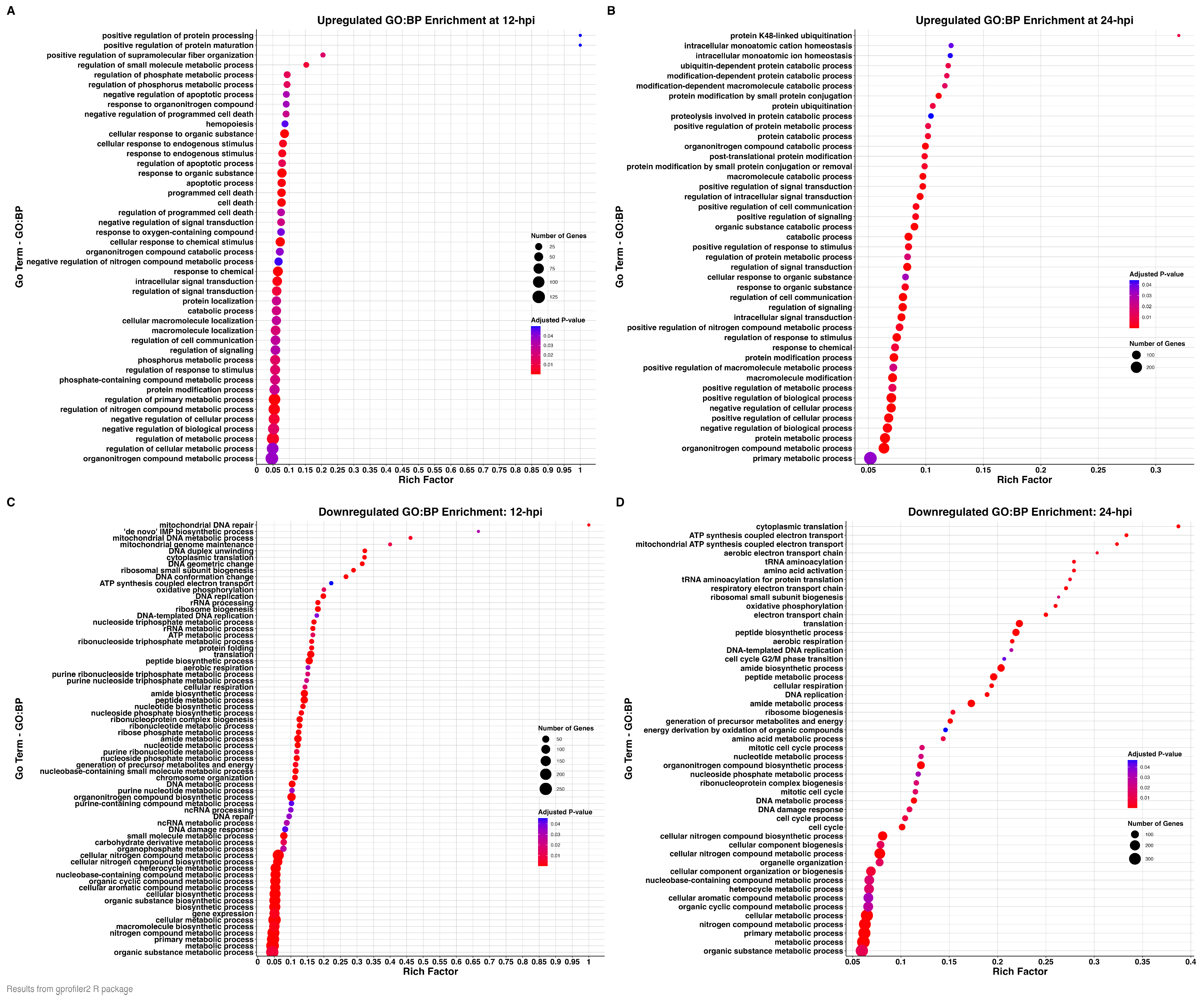 Viruses 17 00299 g004
