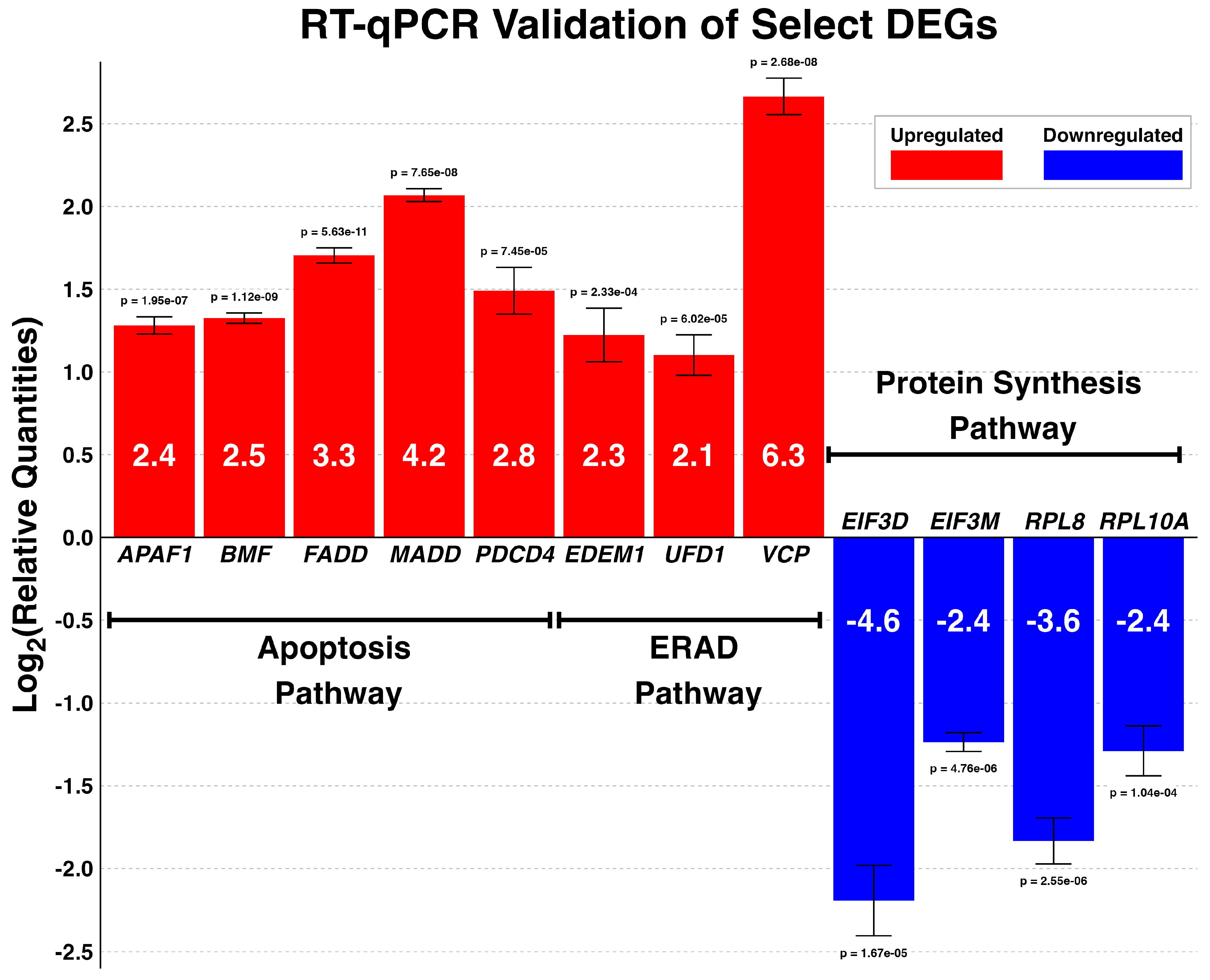 Viruses 17 00299 g006