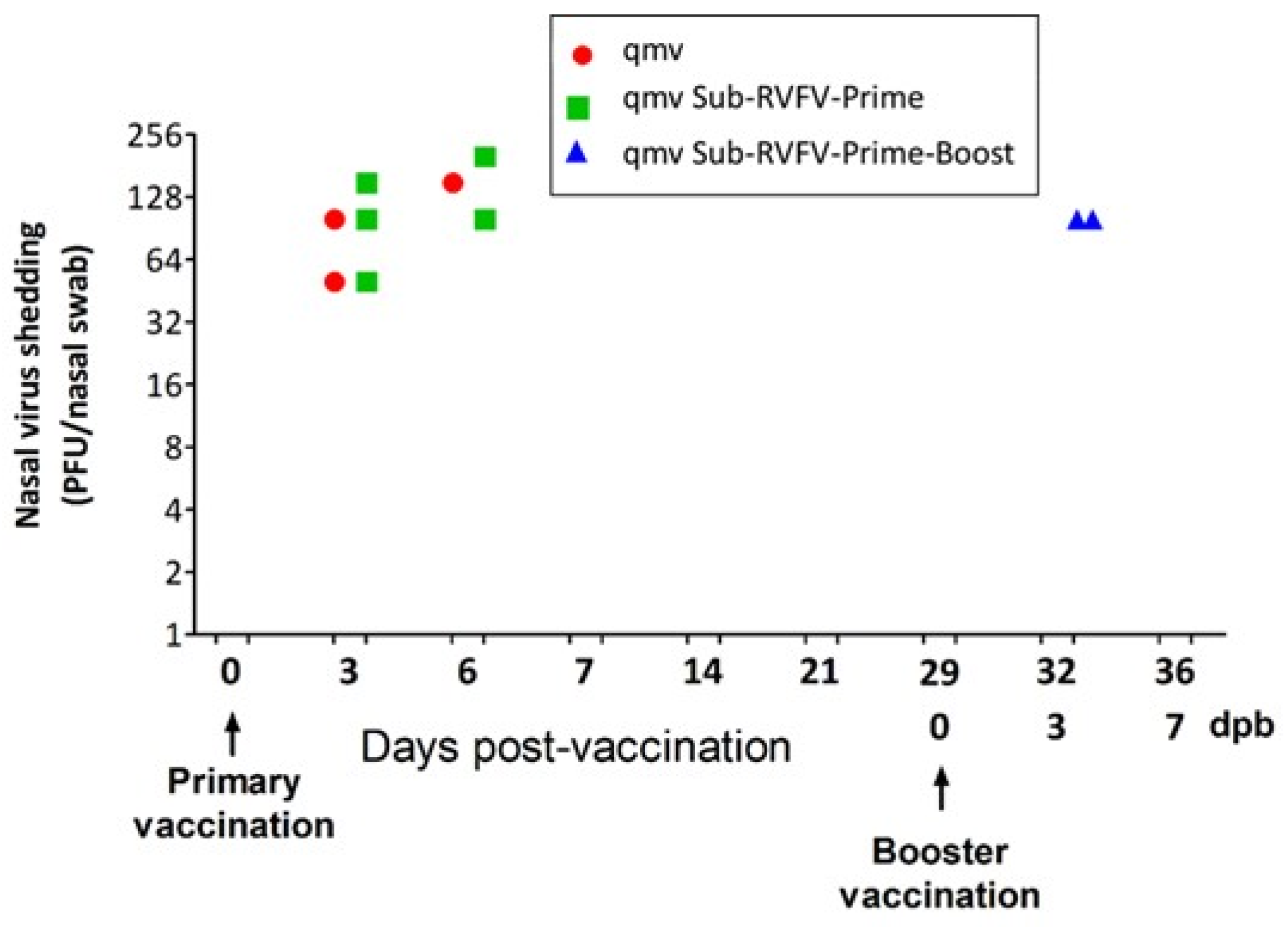 Viruses 17 00304 g006