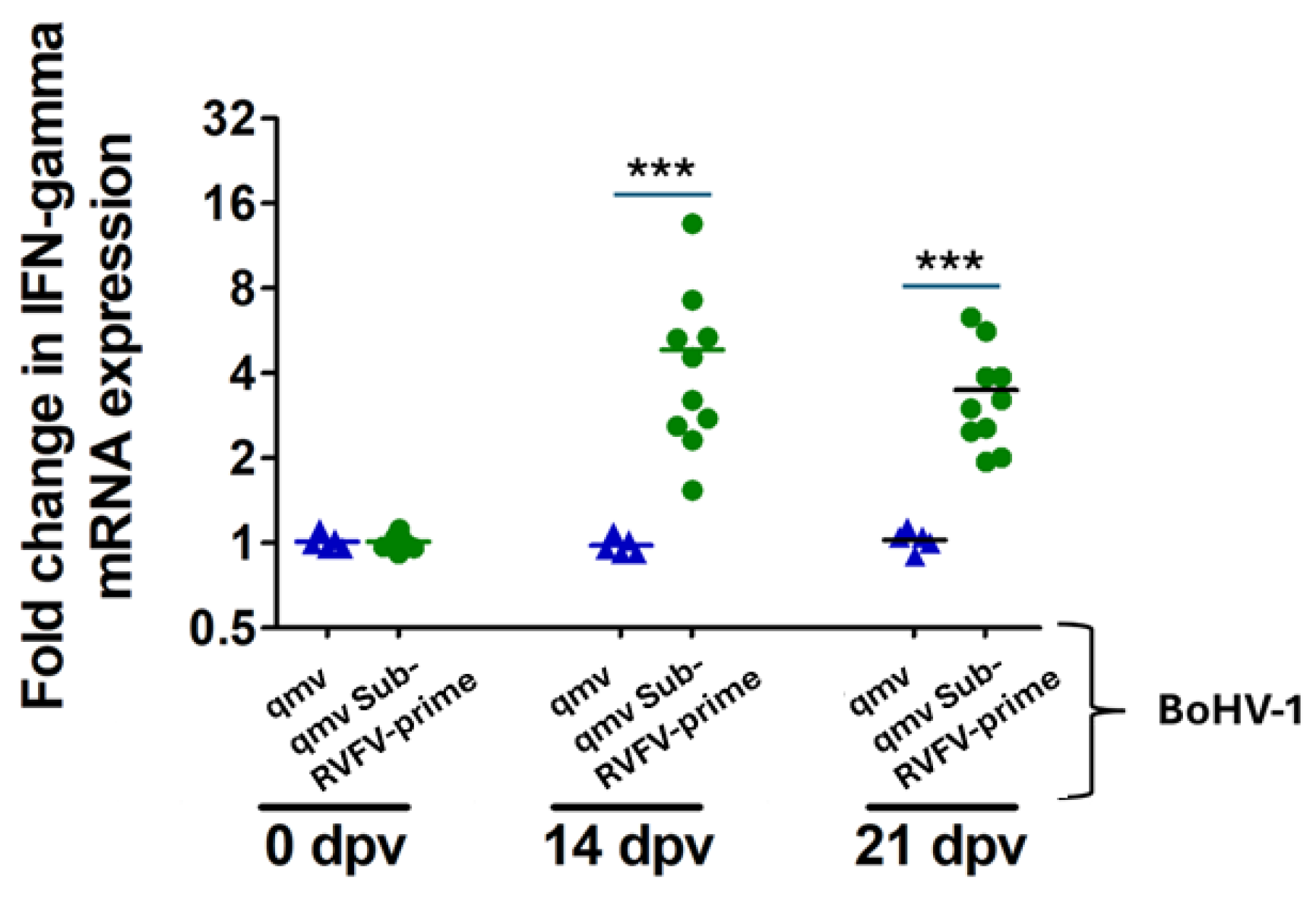 Viruses 17 00304 g008