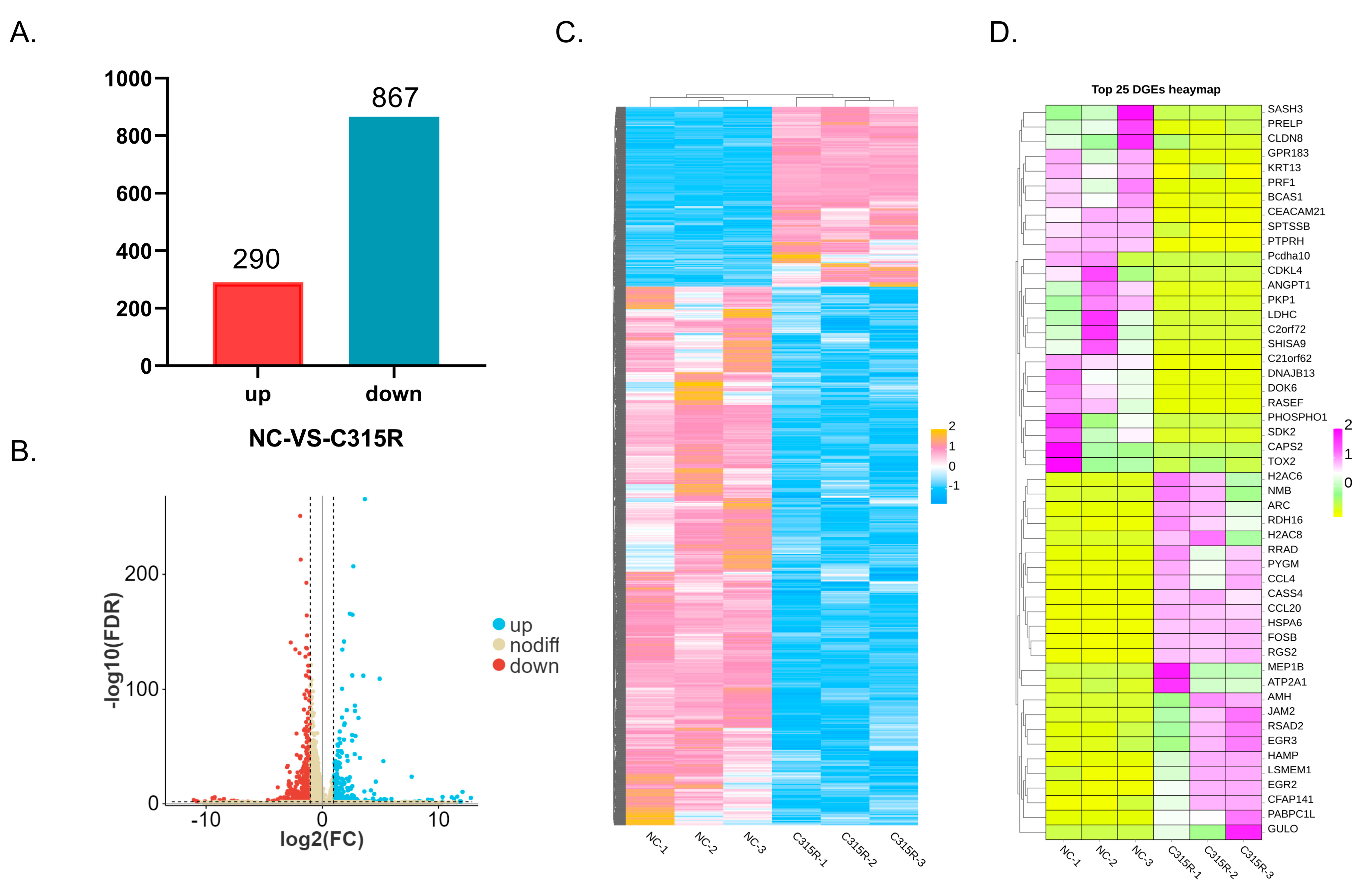 Viruses 17 00309 g002