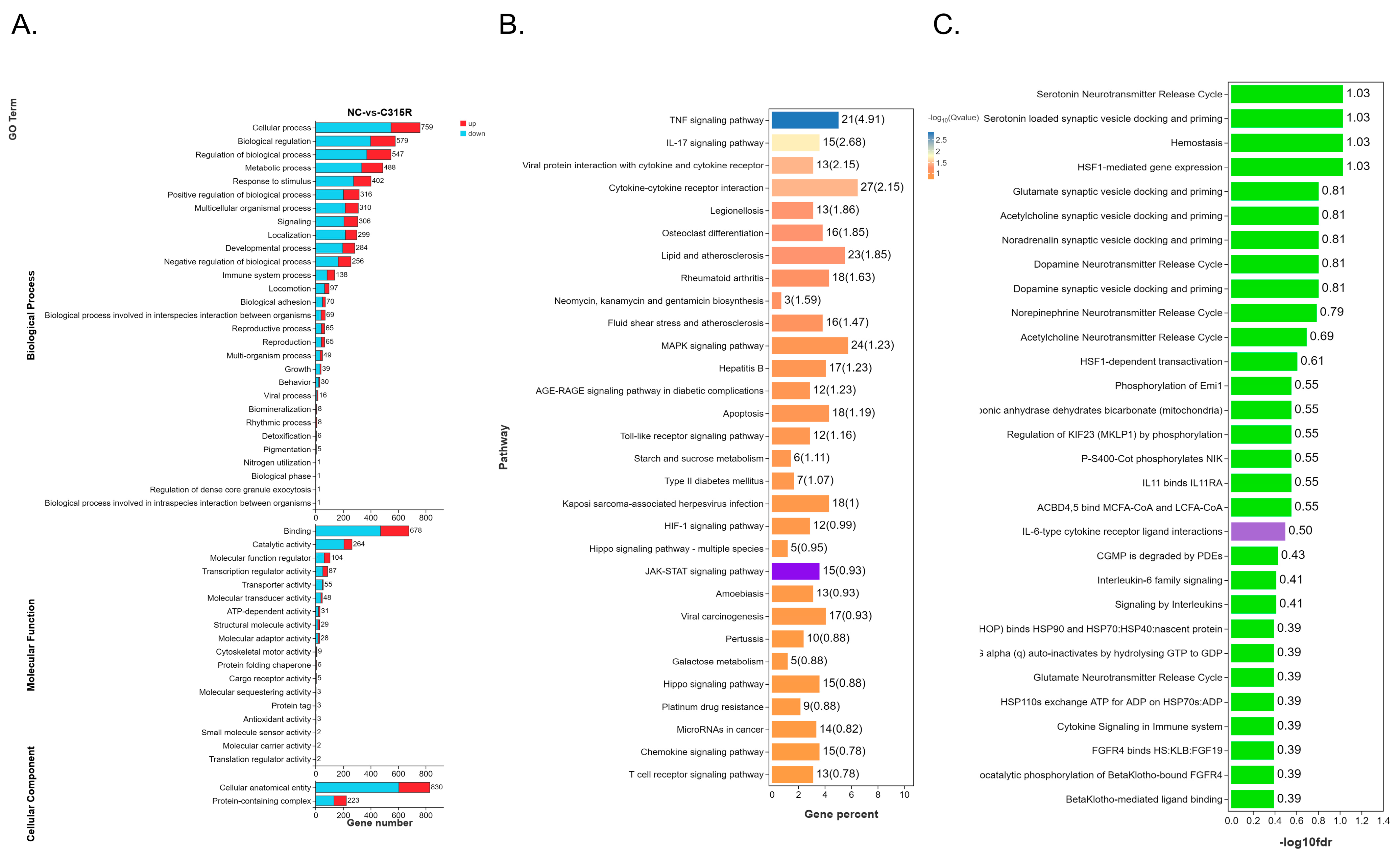 Viruses 17 00309 g003