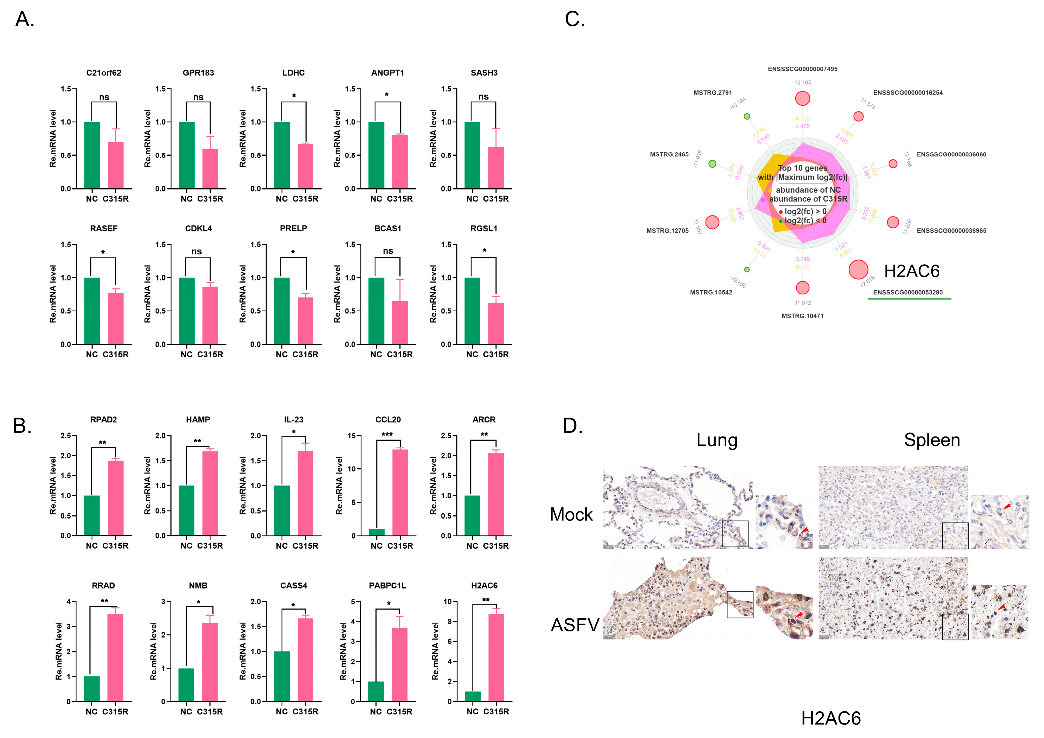 Viruses 17 00309 g005