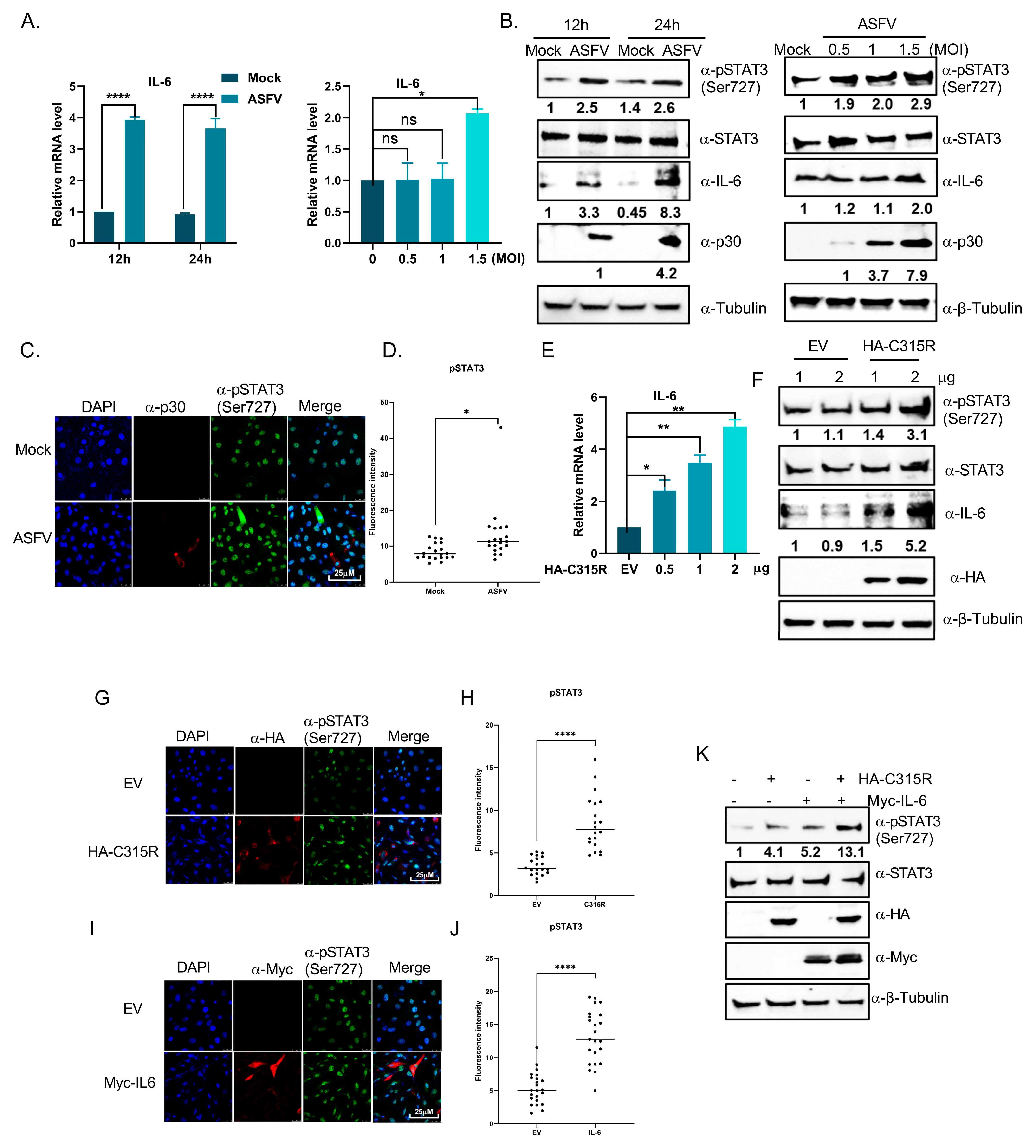 Viruses 17 00309 g006
