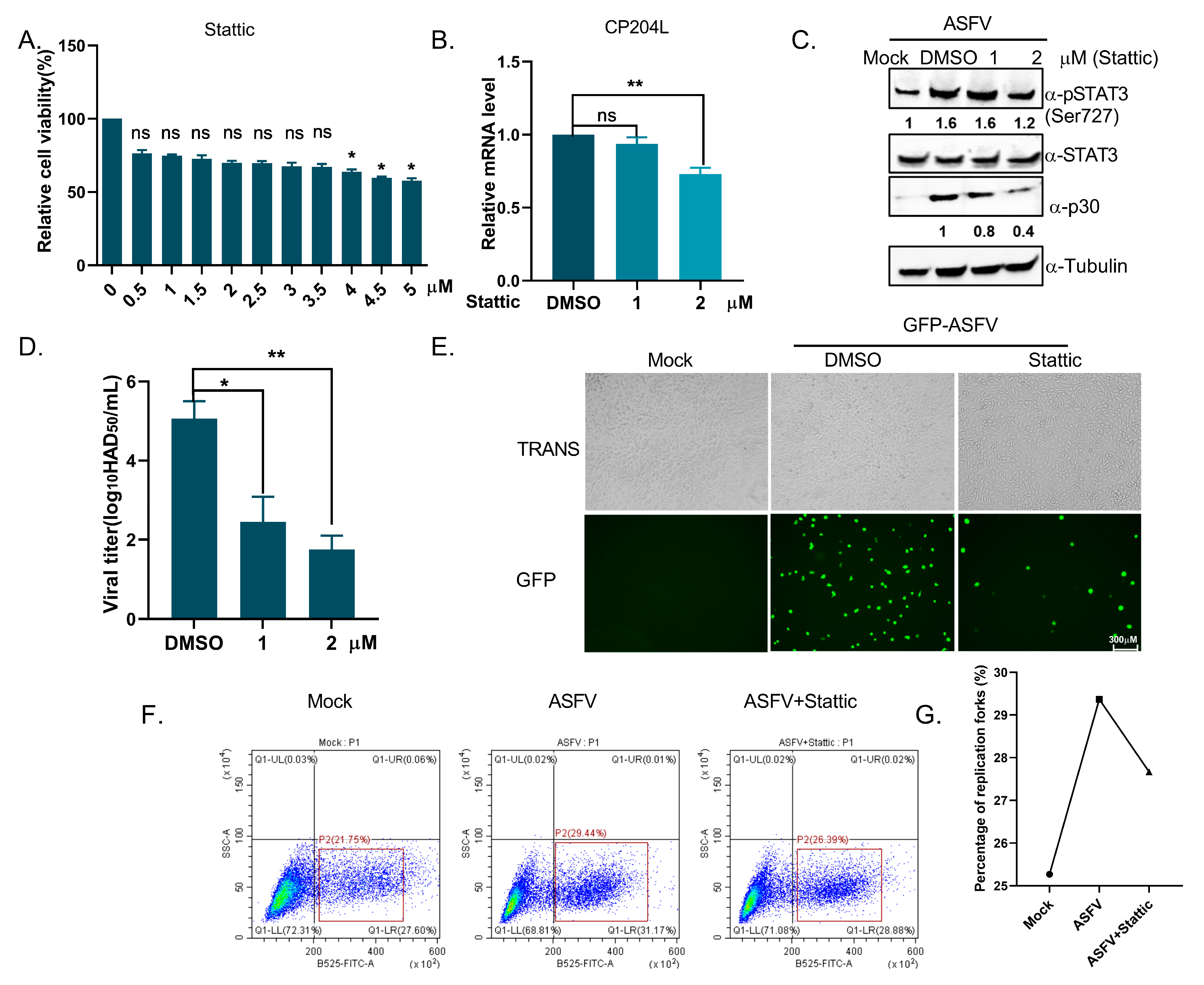 Viruses 17 00309 g007