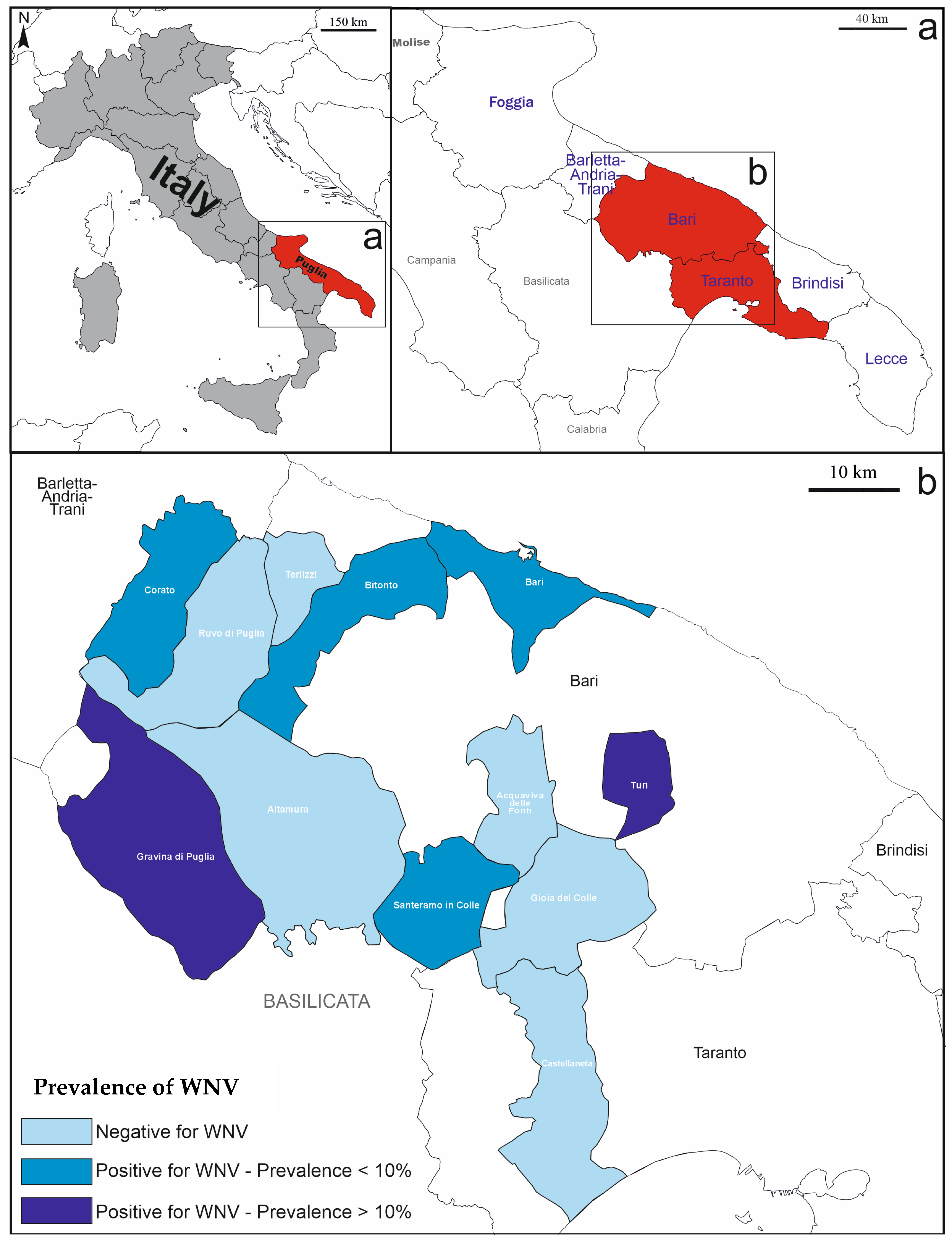 Viruses 17 00310 g001