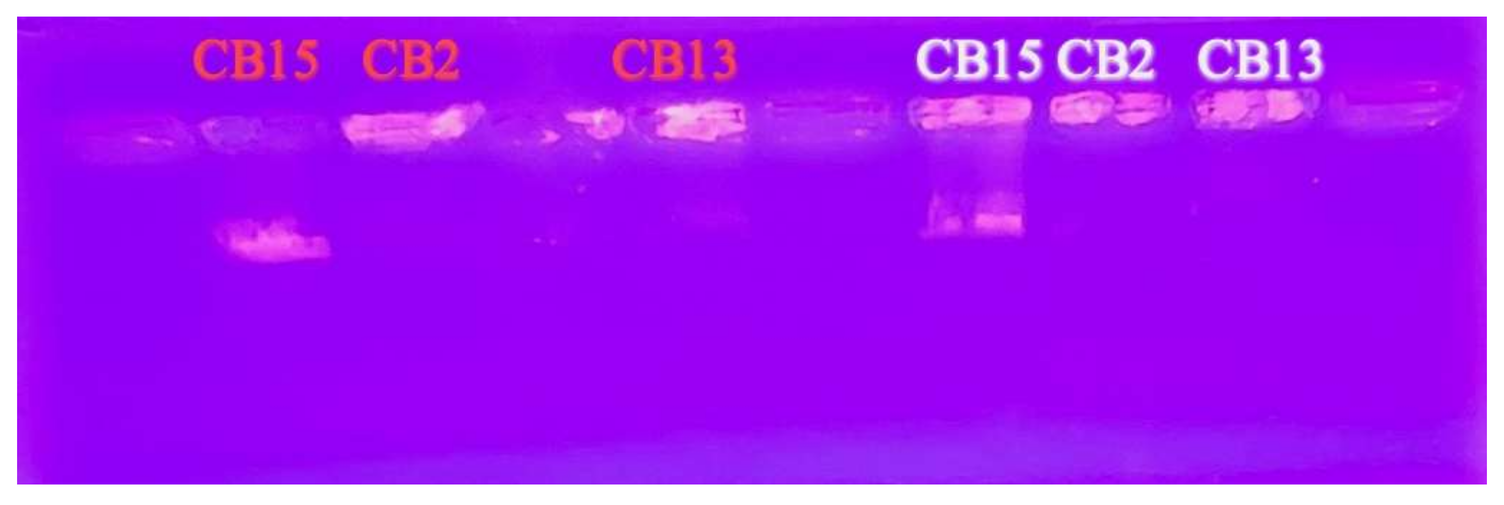 Viruses 17 00311 g003