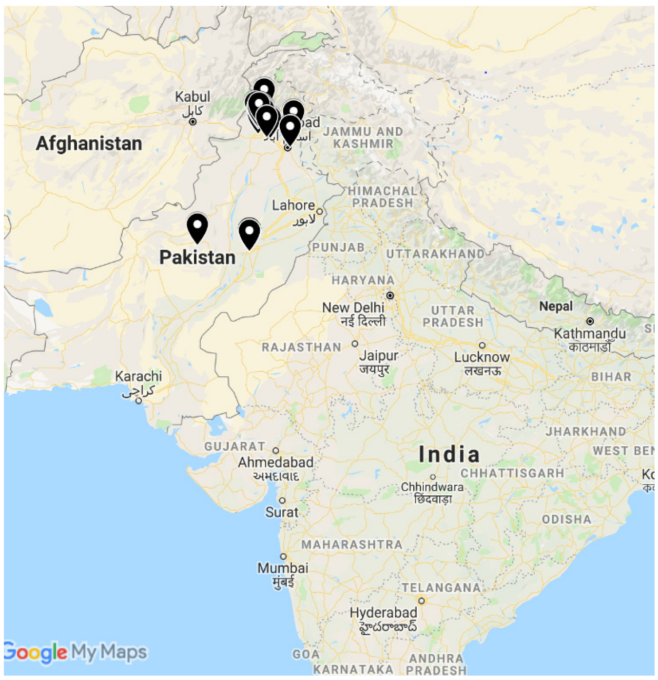 Viruses 17 00315 g001