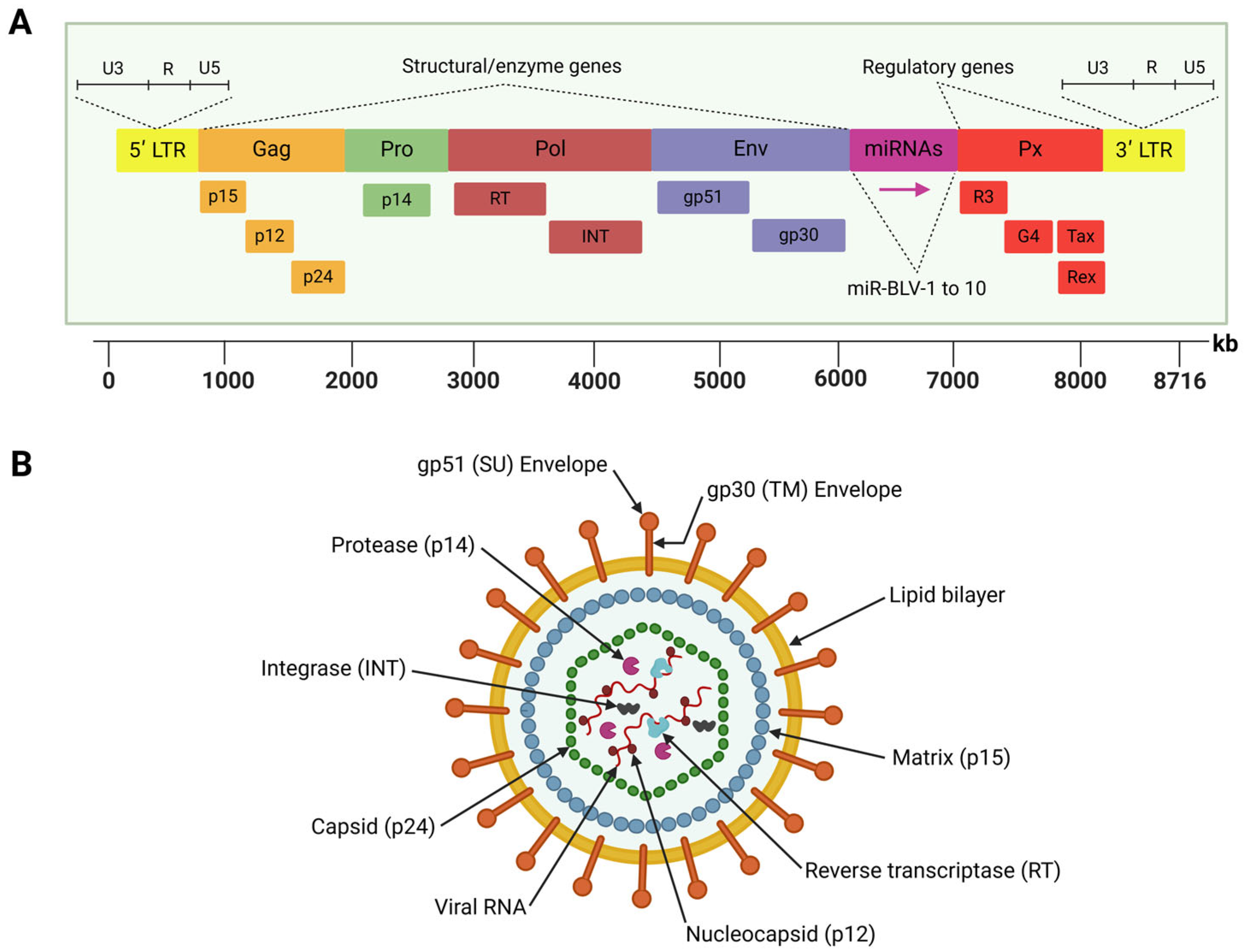Viruses 17 00324 g001 Viruses 17 00324 g001