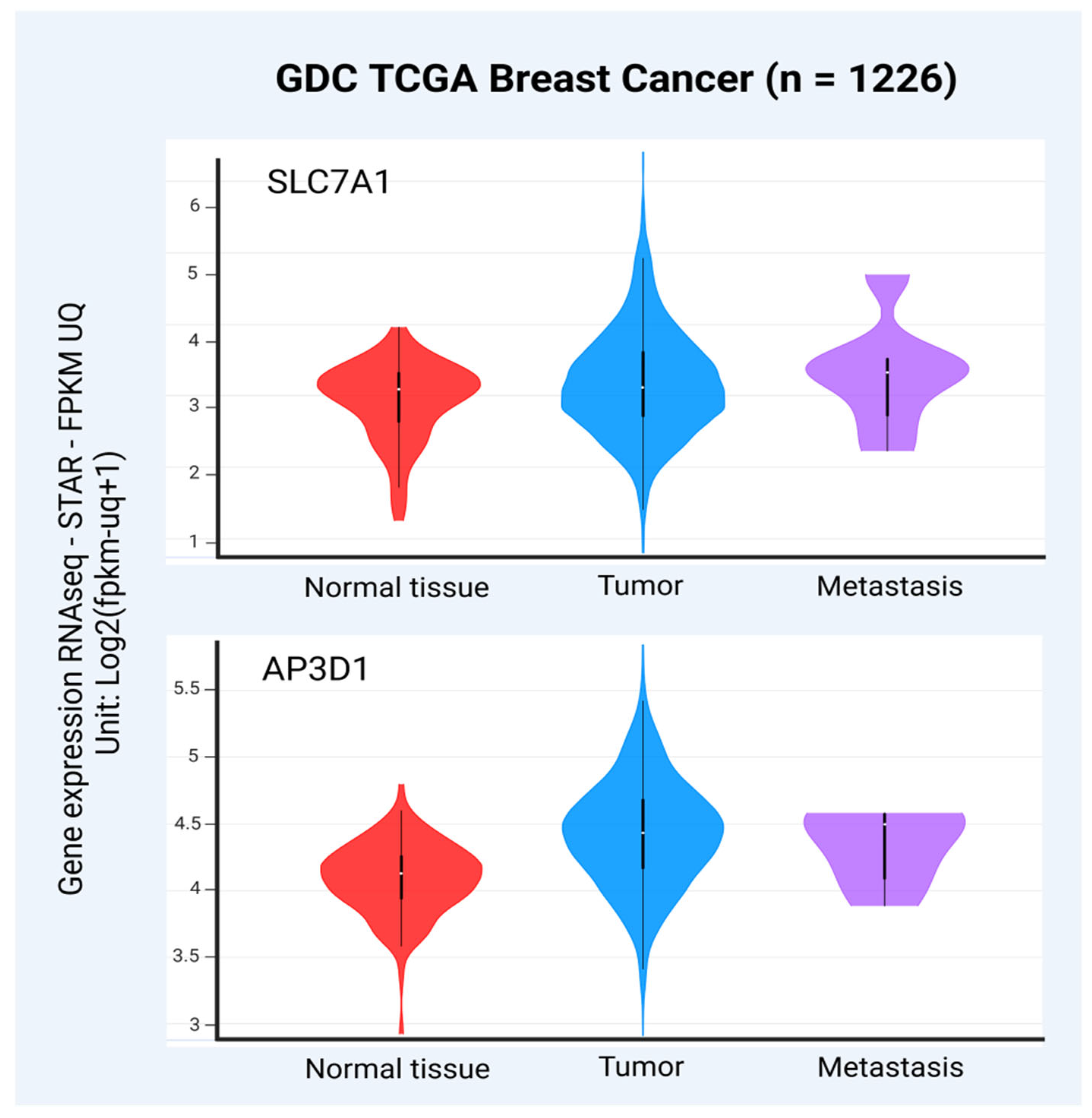Viruses 17 00324 g003 Viruses 17 00324 g003