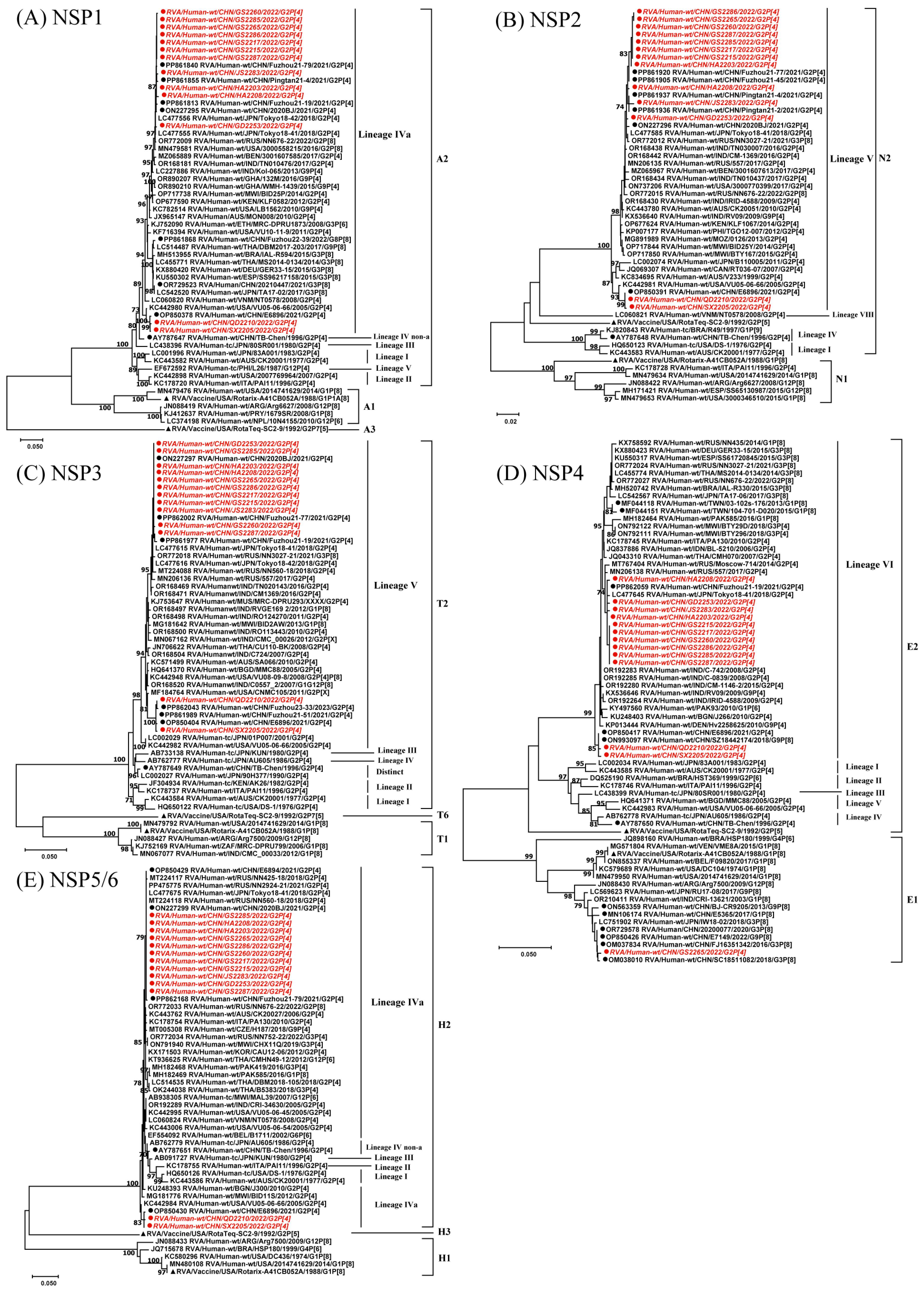 Viruses 17 00326 g003