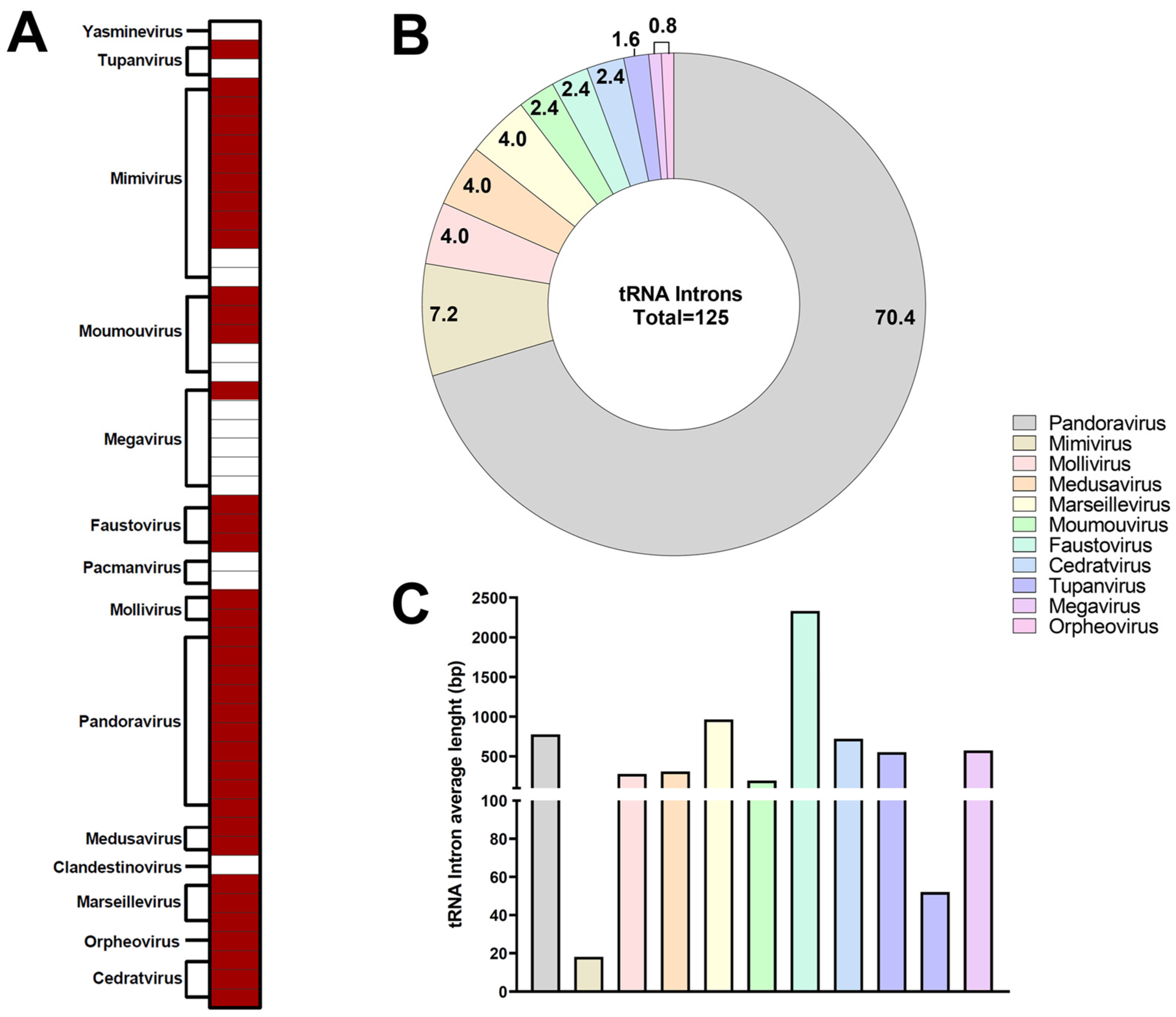 Viruses 17 00328 g004 Viruses 17 00328 g004