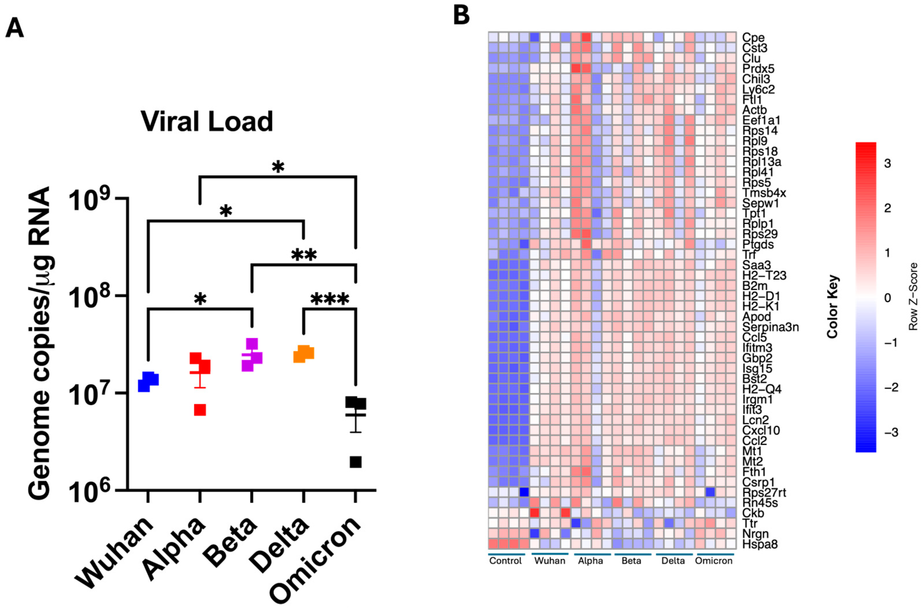 Viruses 17 00329 g001