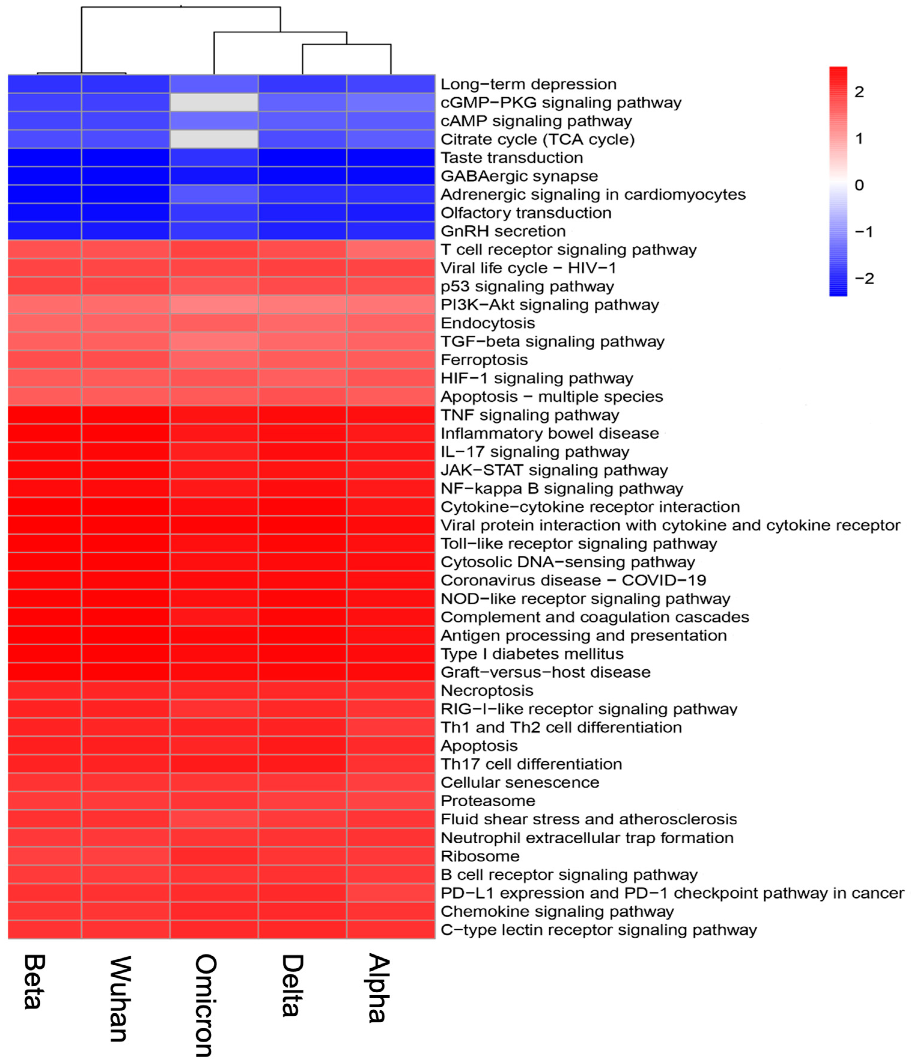 Viruses 17 00329 g003