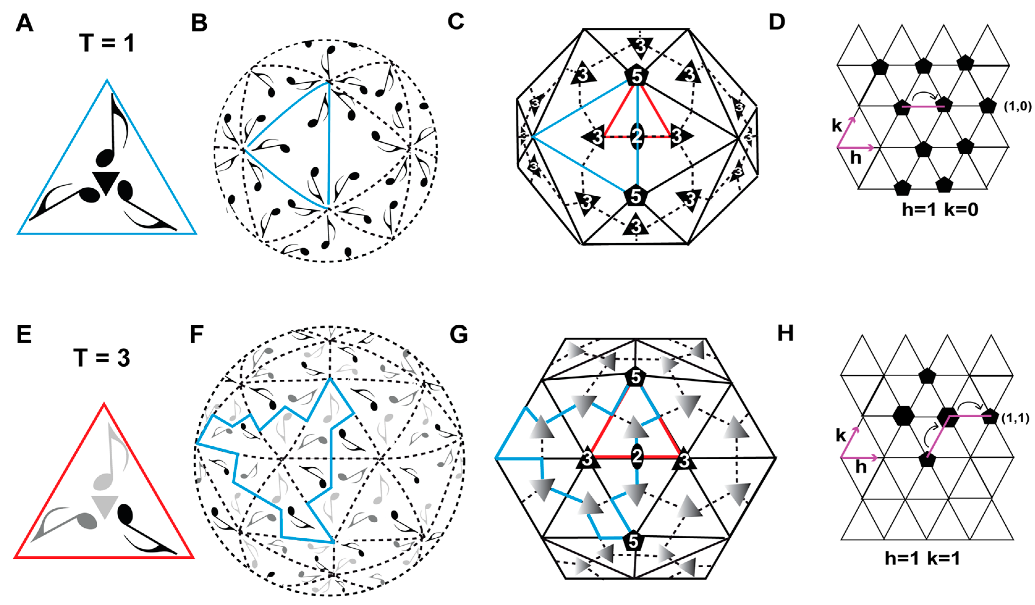 Viruses 17 00333 g001 Viruses 17 00333 g001