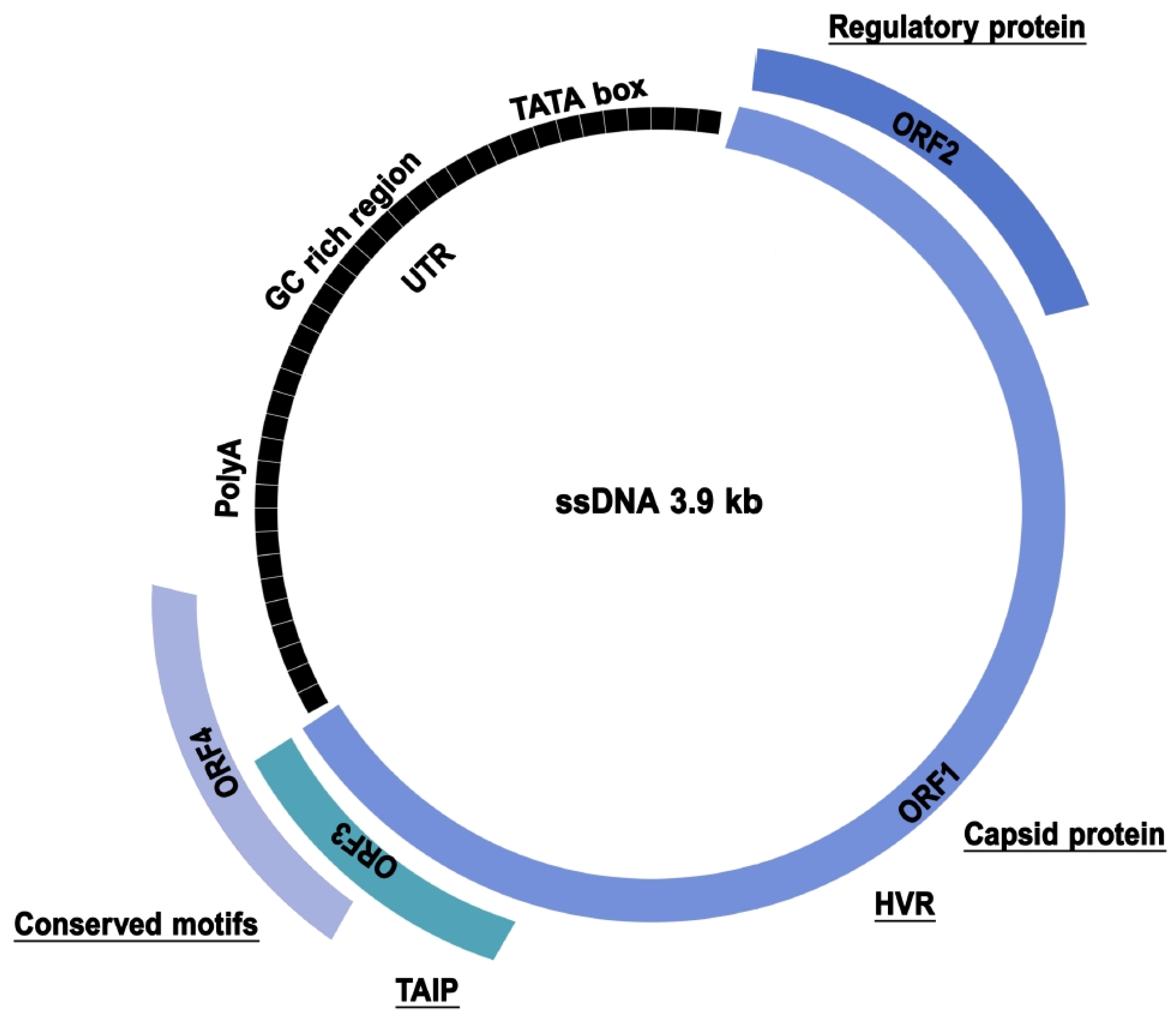Viruses 17 00334 g001 Viruses 17 00334 g001