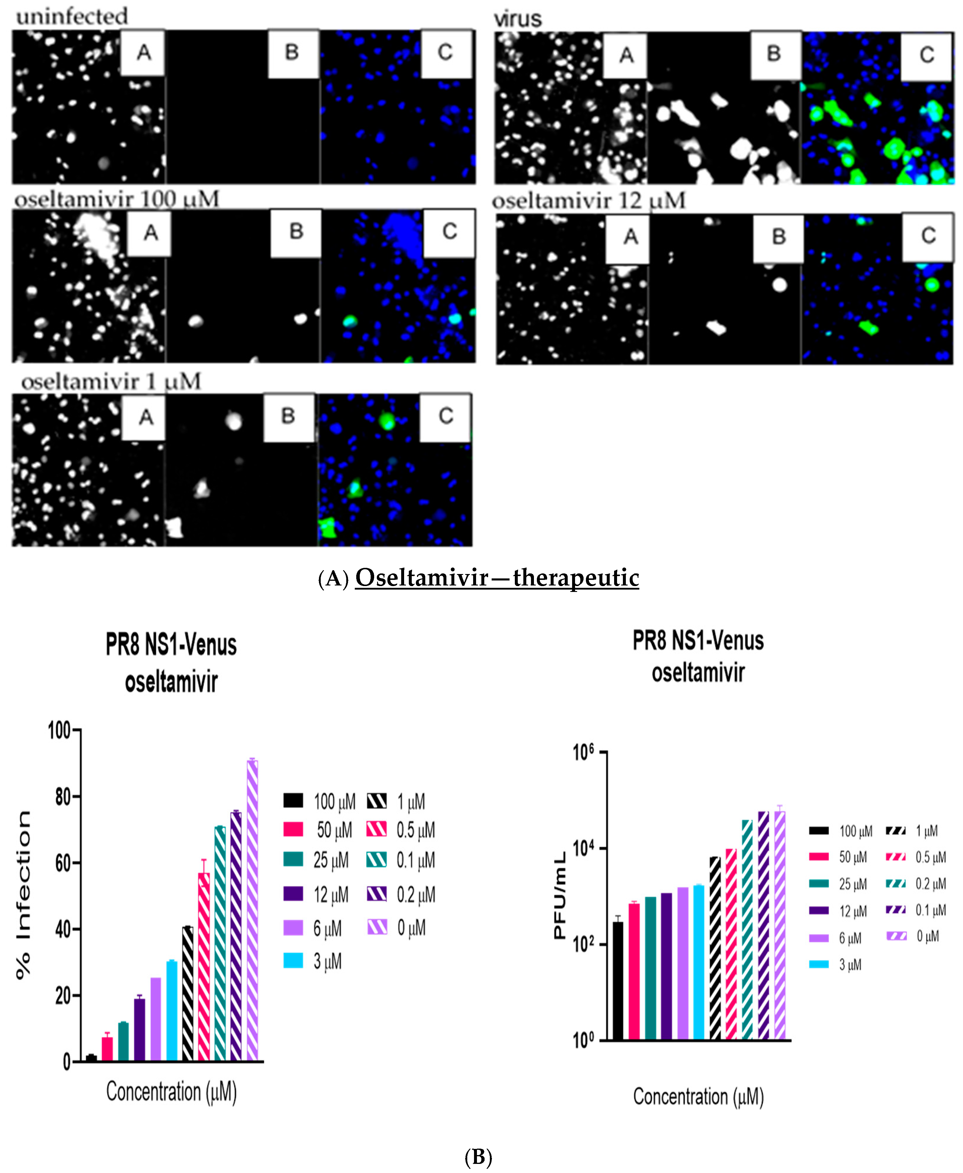 Viruses 17 00335 g004