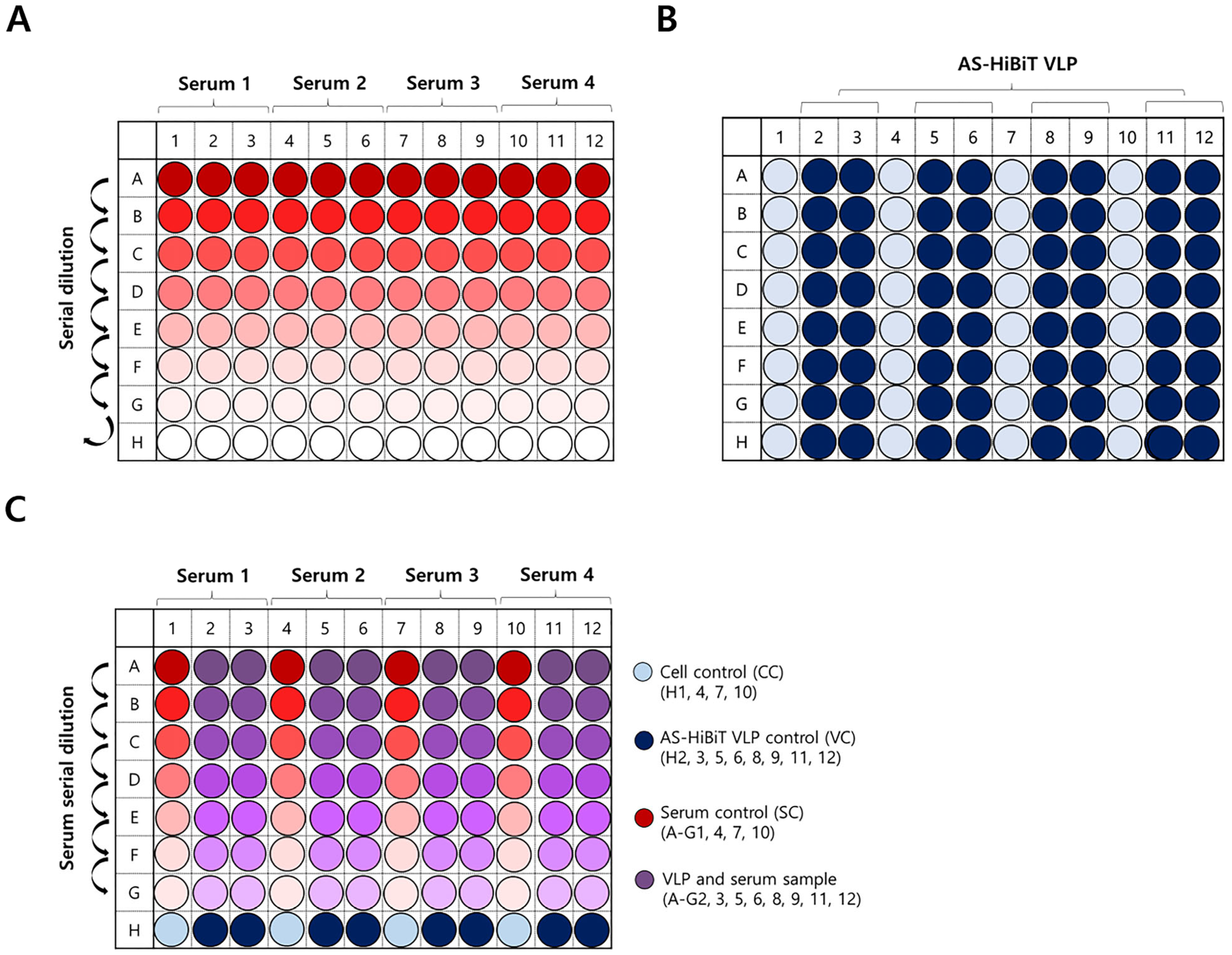 Viruses 17 00337 g002
