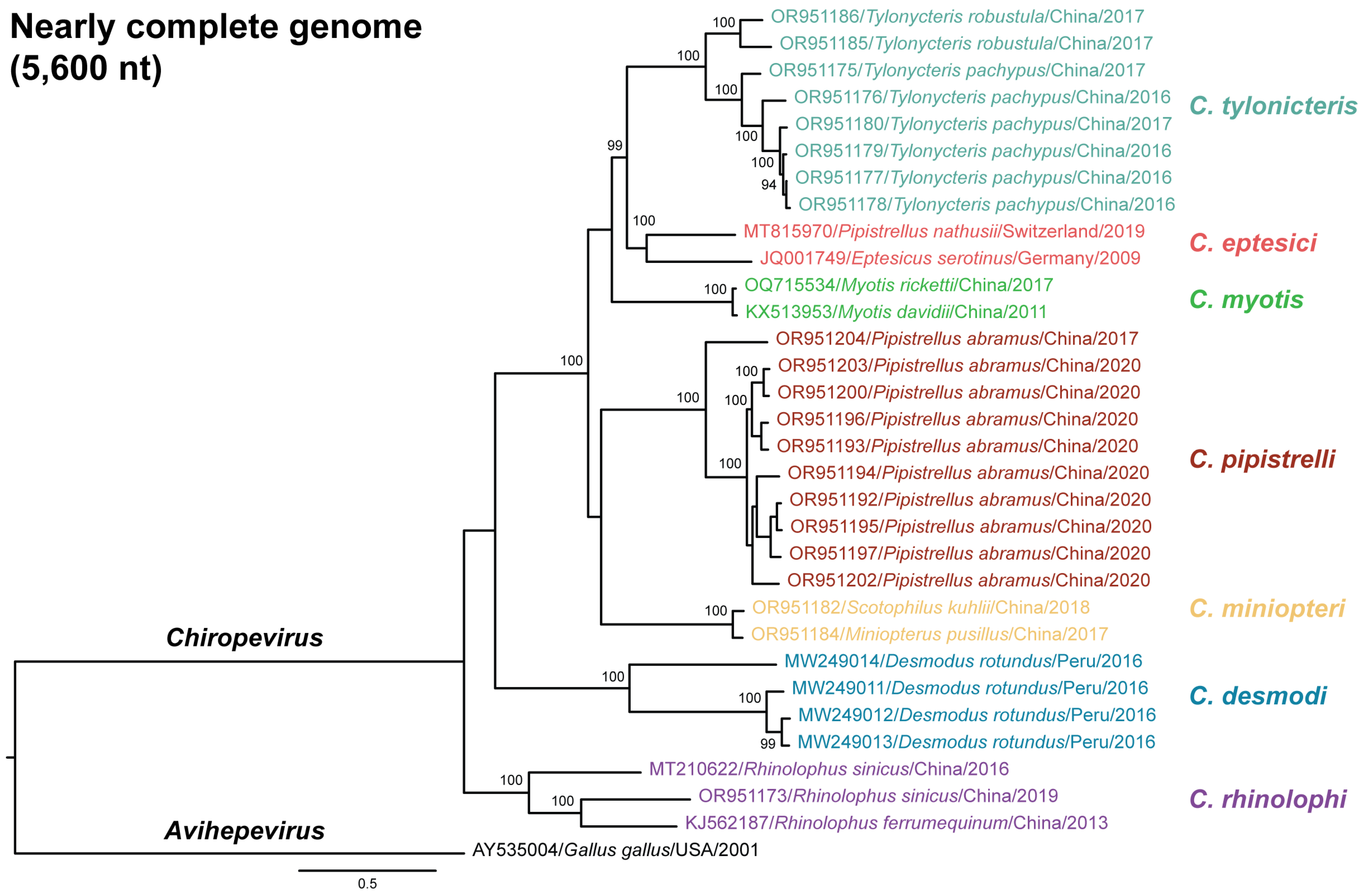 Viruses 17 00339 g005