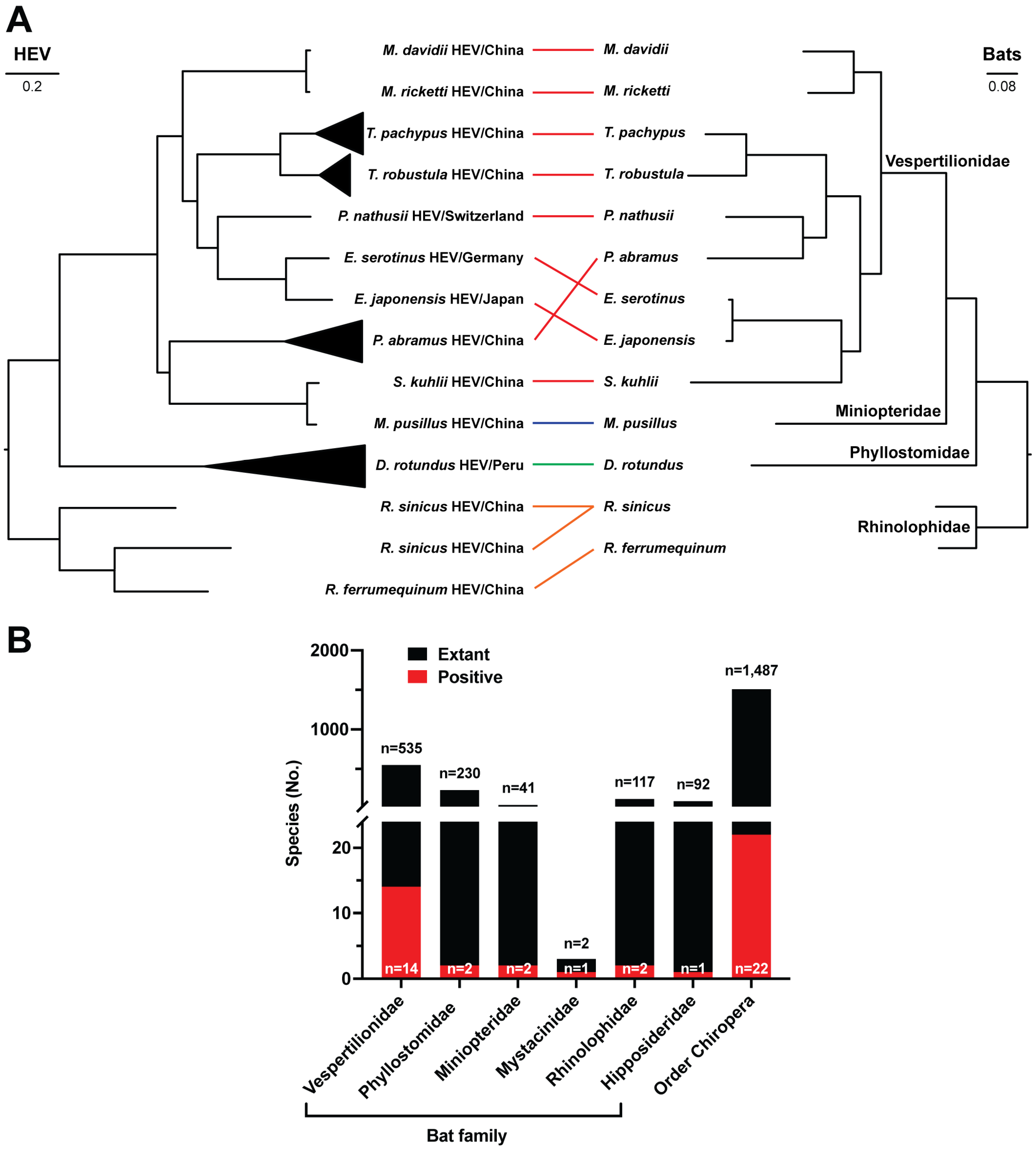 Viruses 17 00339 g006