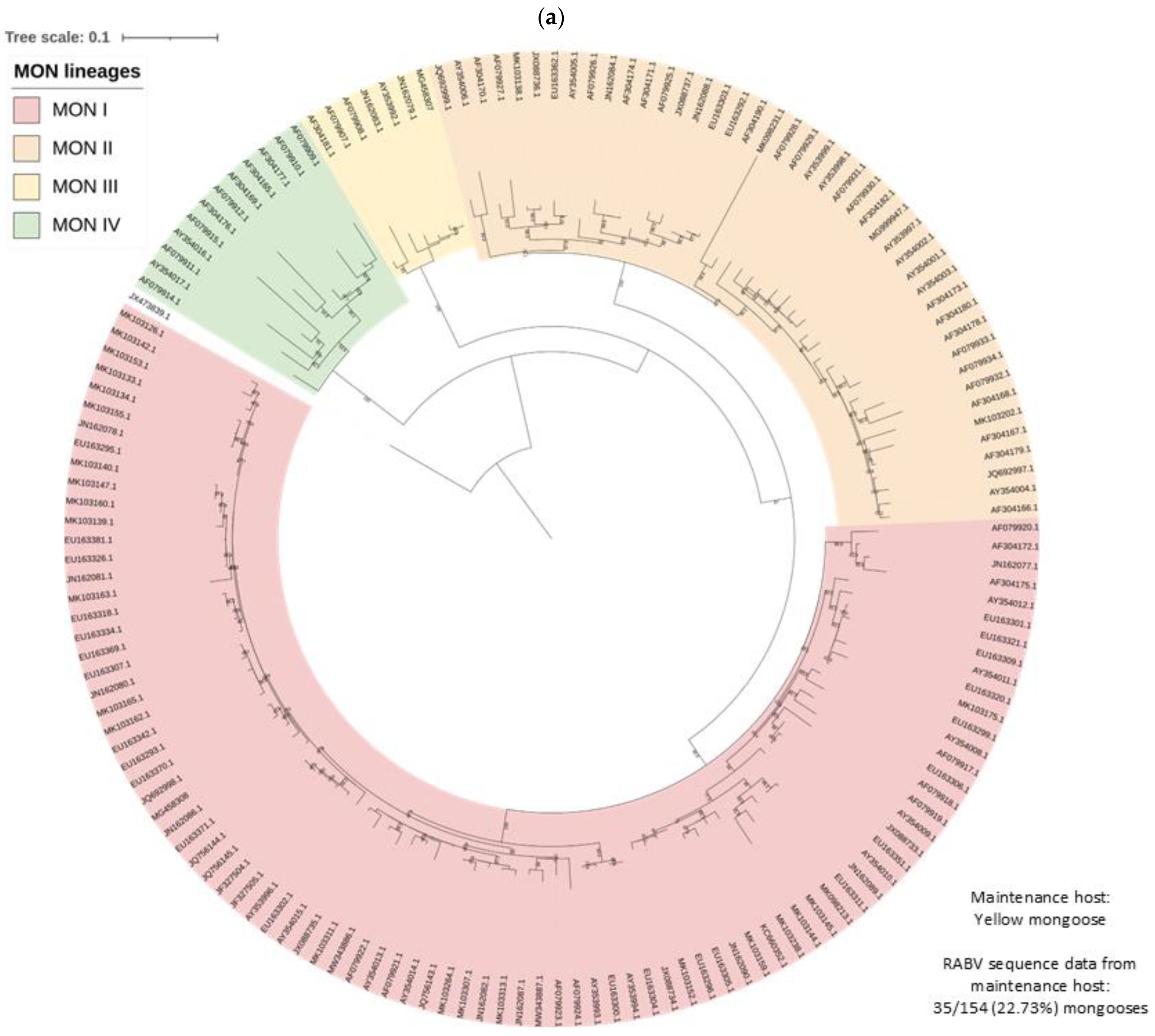 Viruses 17 00340 g004a