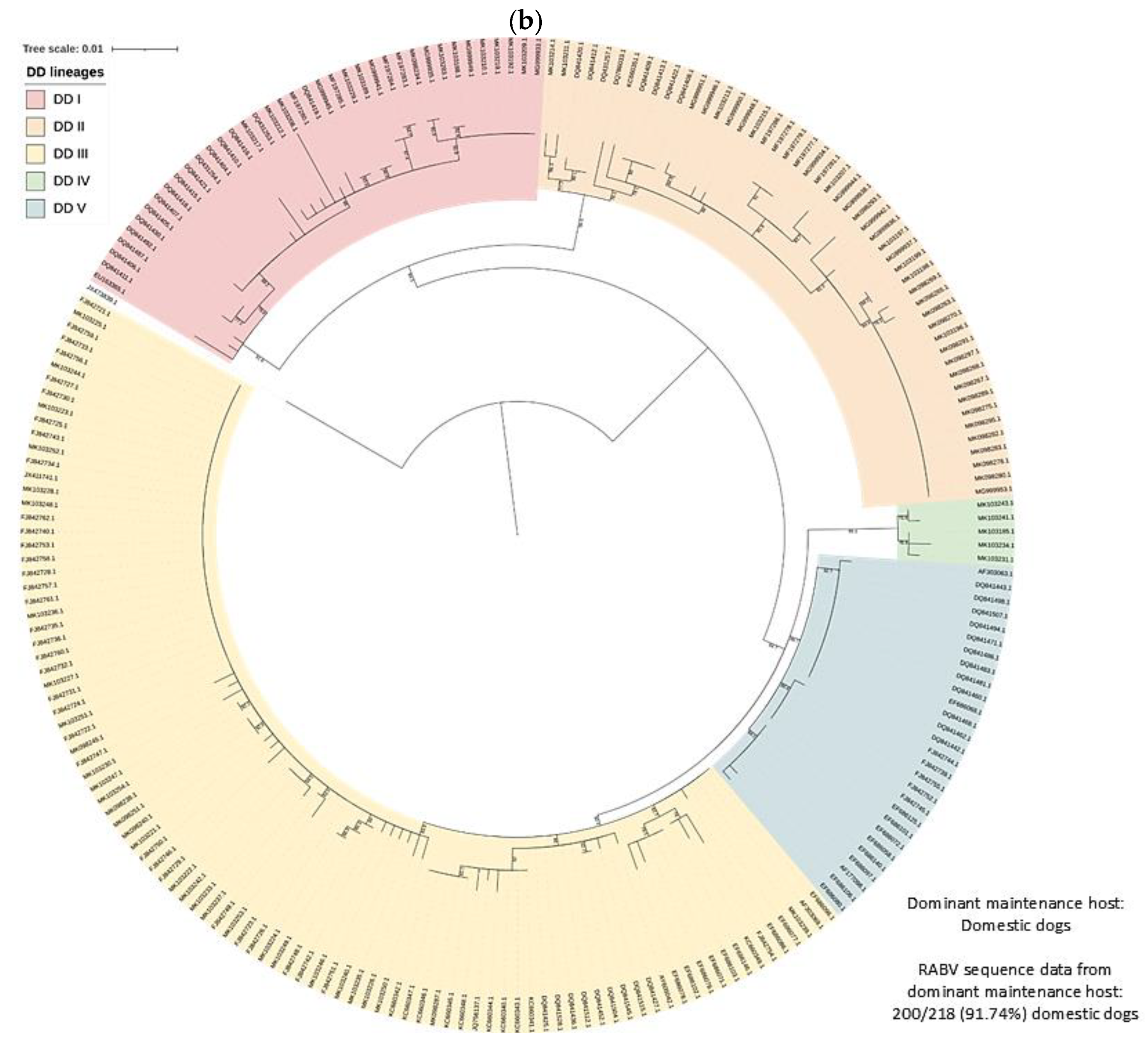 Viruses 17 00340 g004b