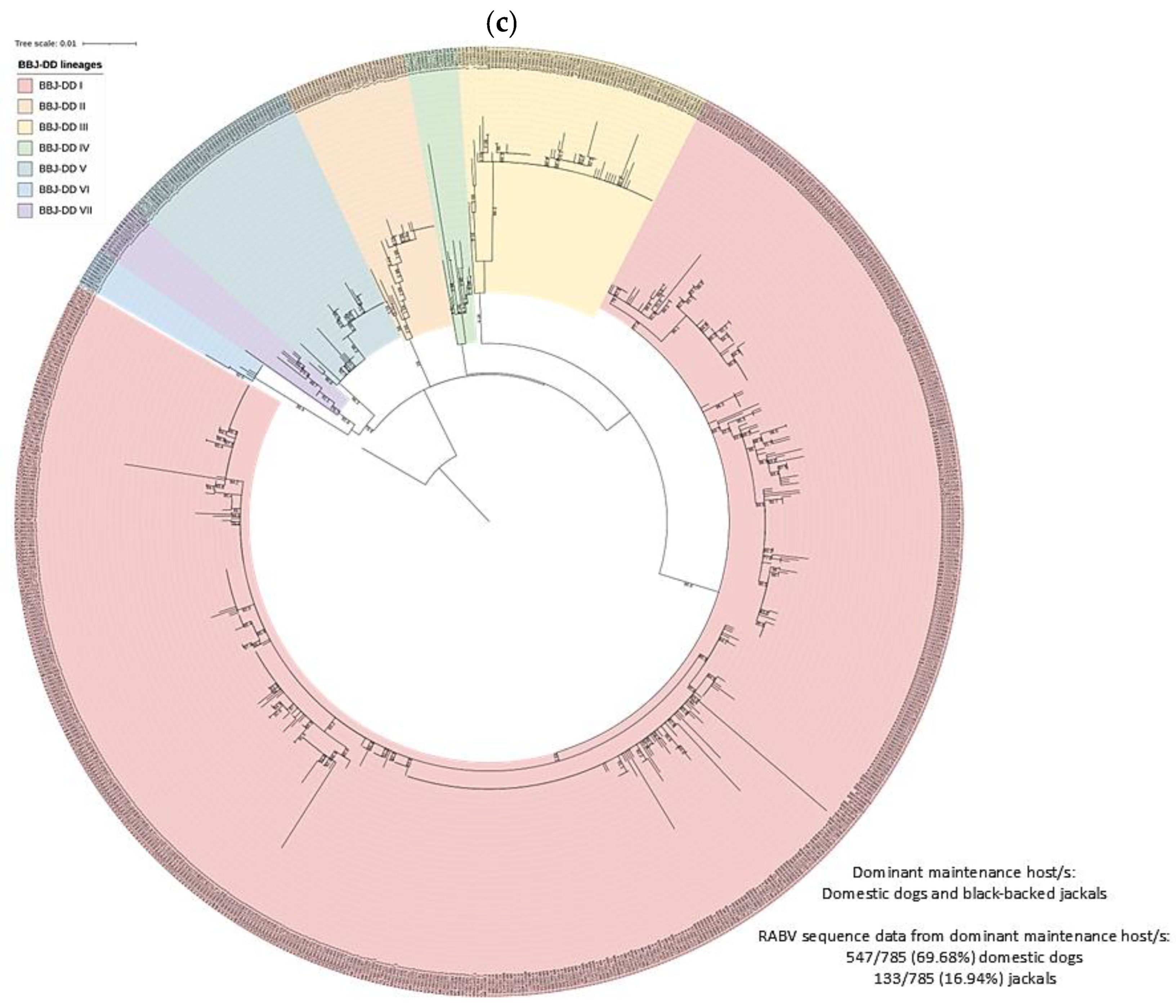 Viruses 17 00340 g004c