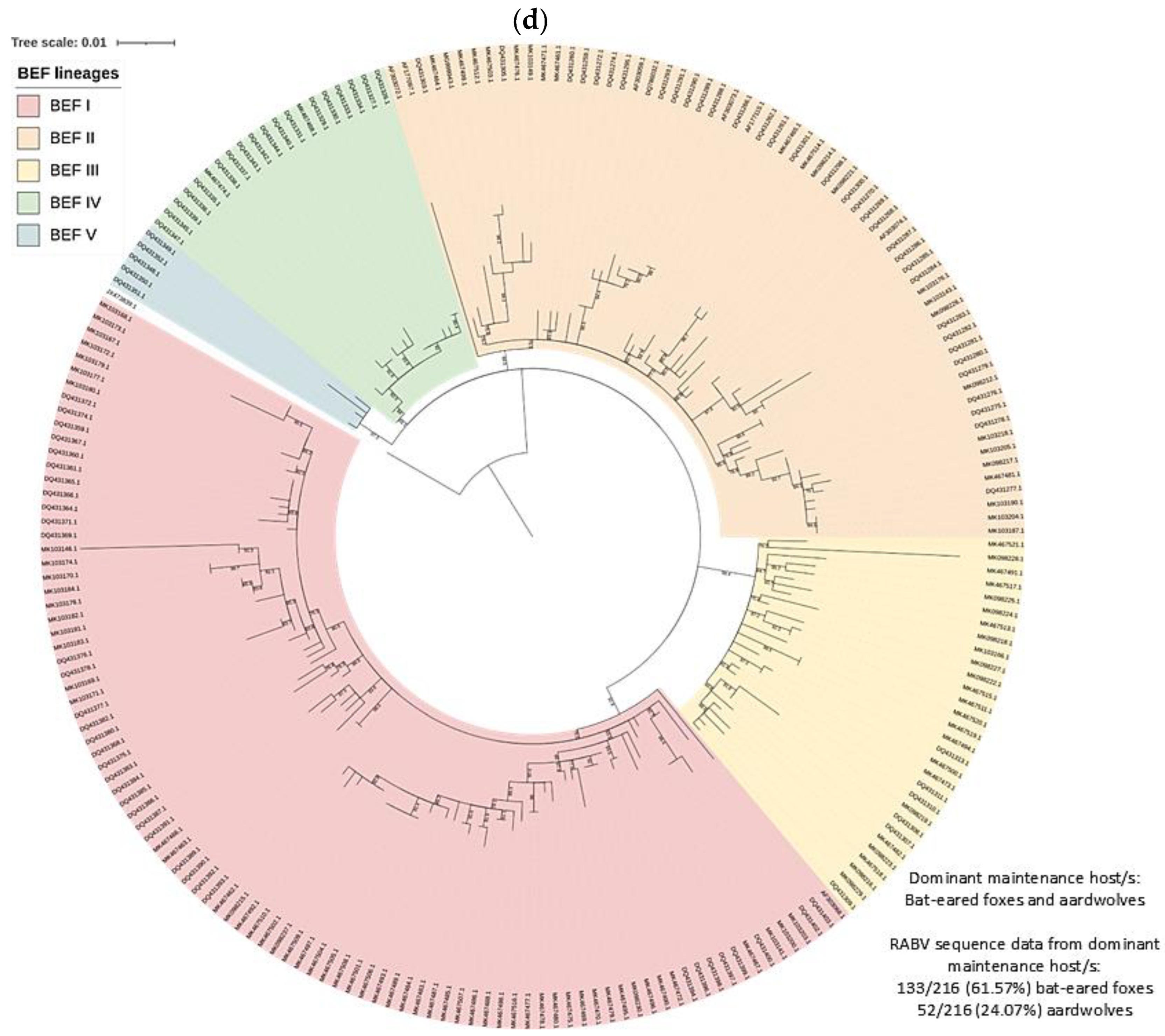 Viruses 17 00340 g004d