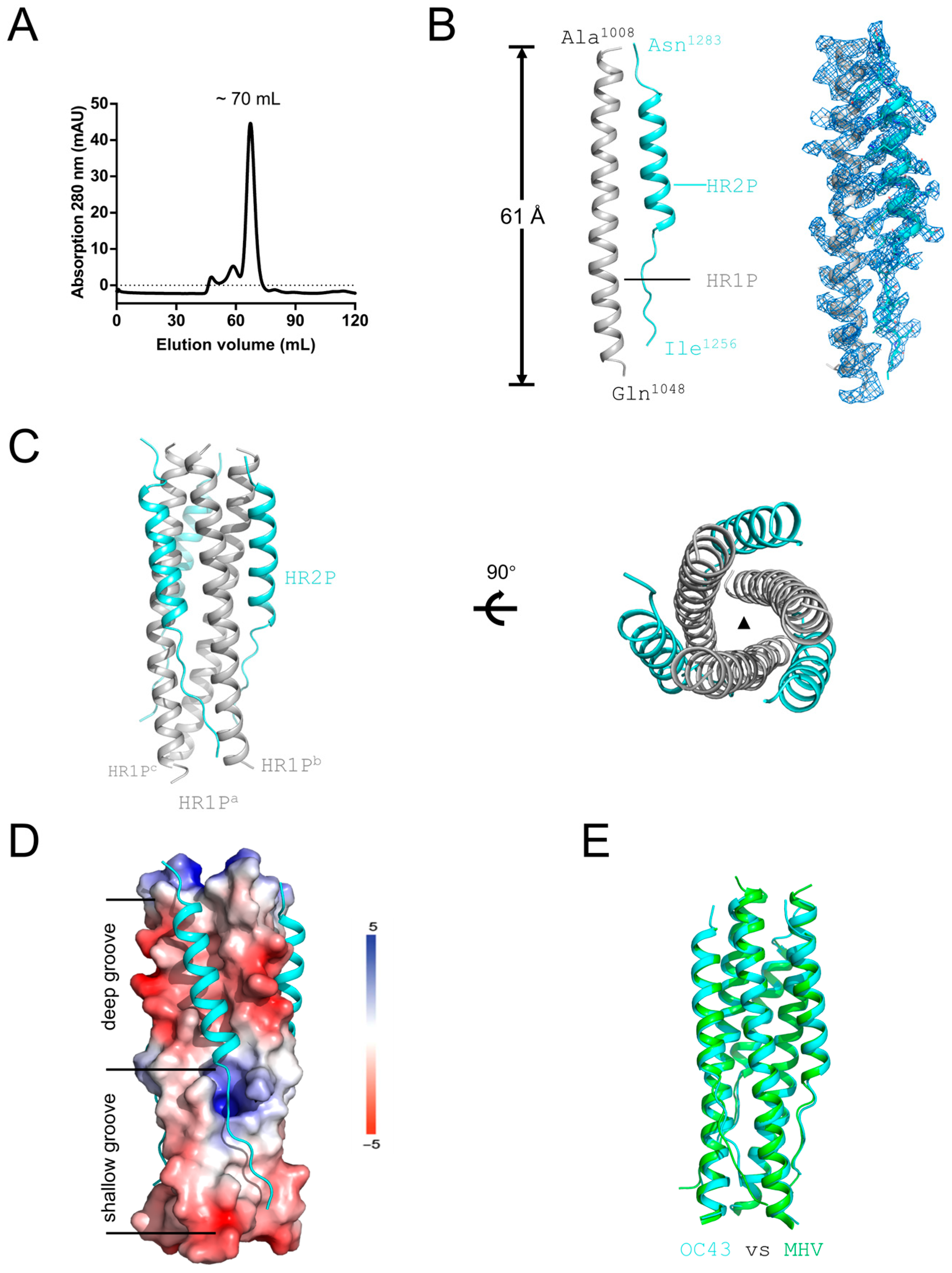 Viruses 17 00343 g002