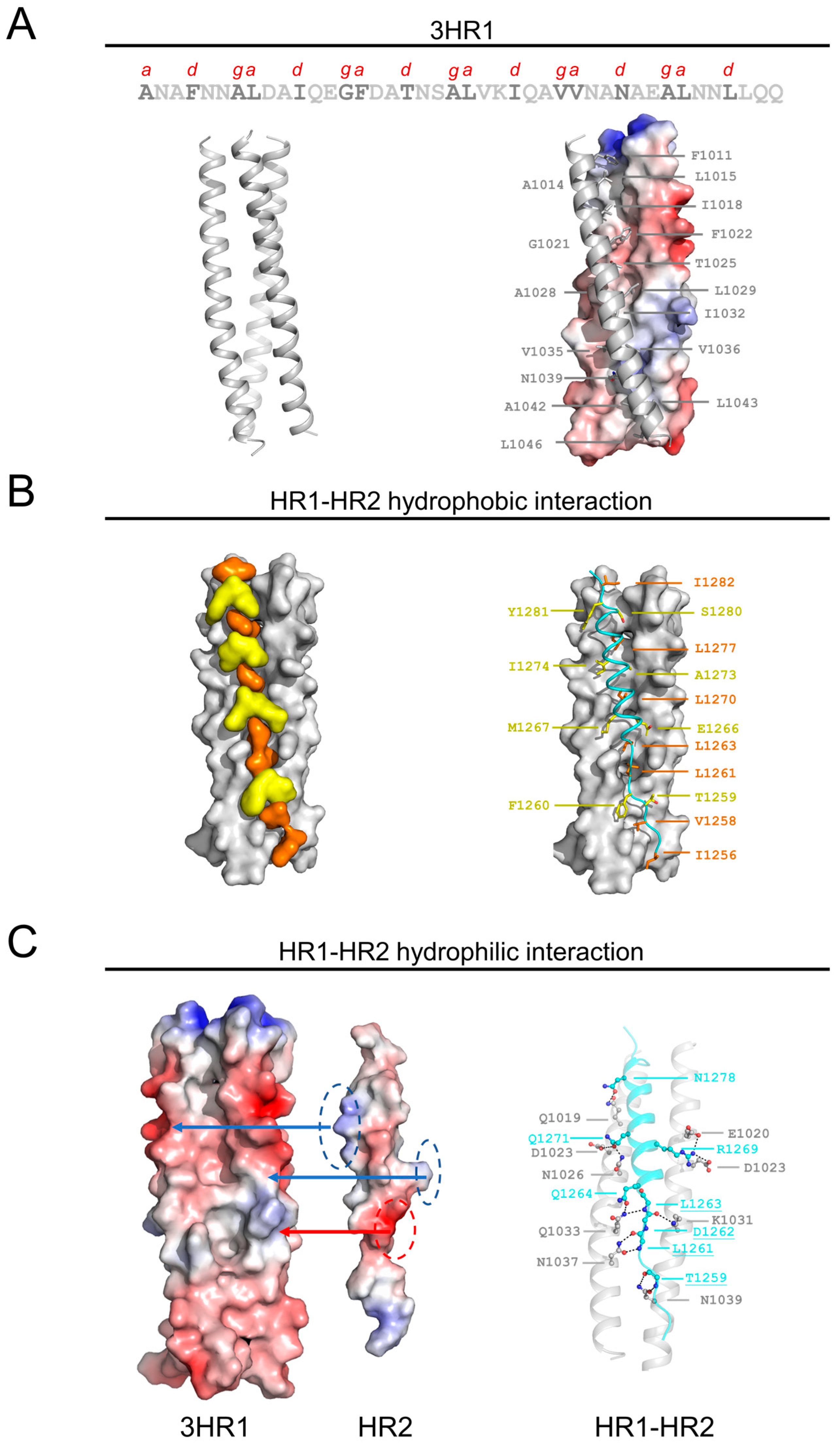 Viruses 17 00343 g003