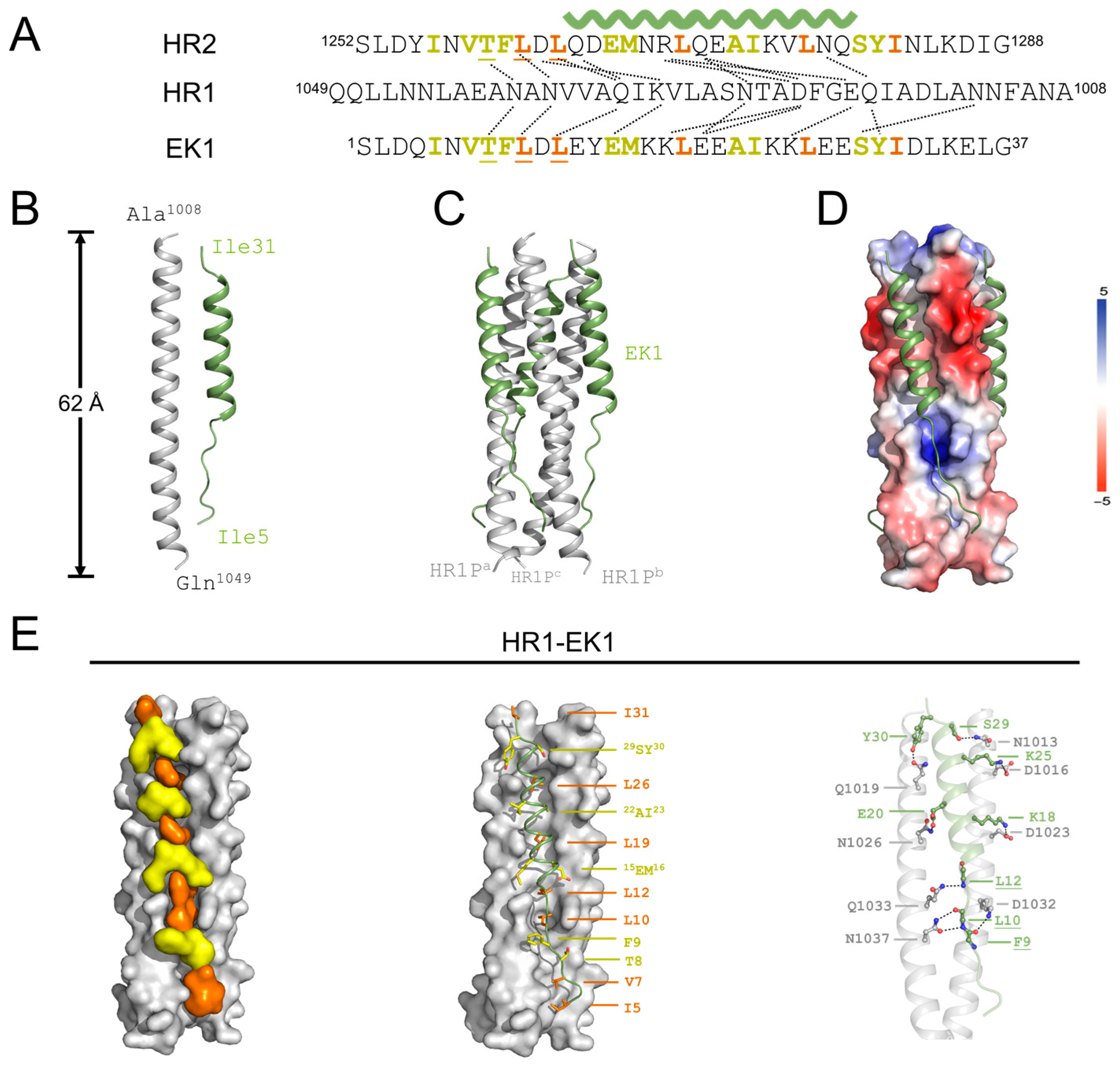 Viruses 17 00343 g004