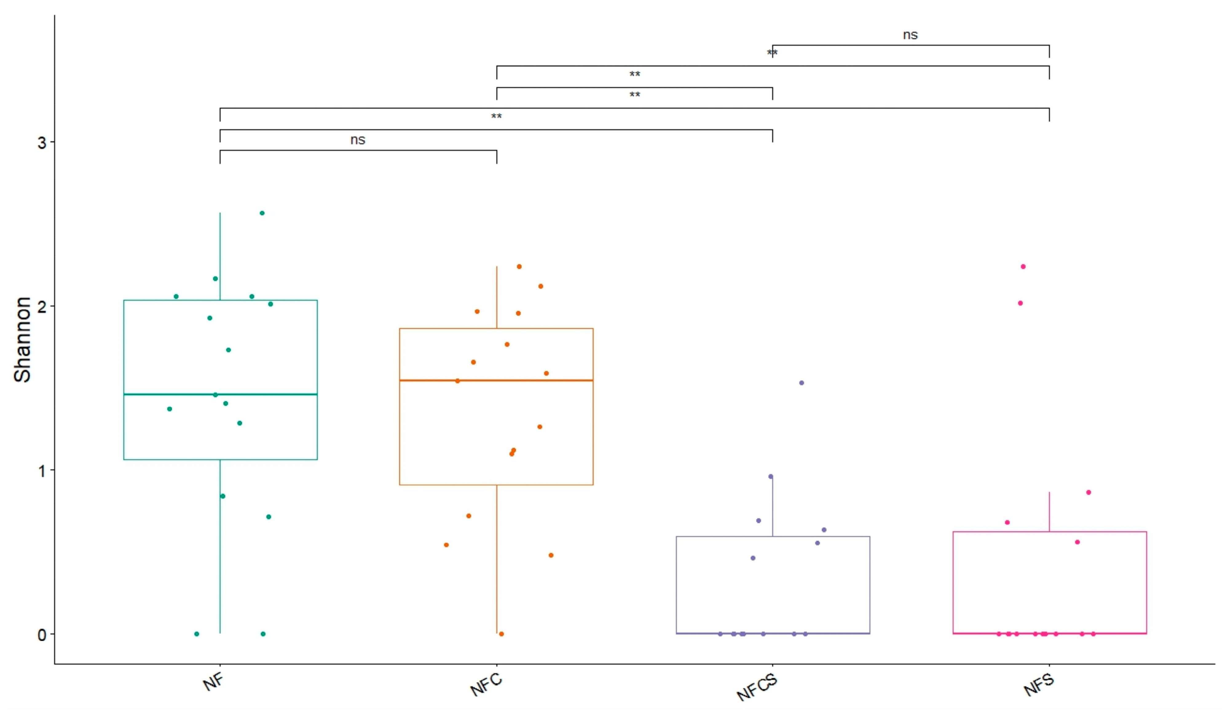 Viruses 17 00345 g003