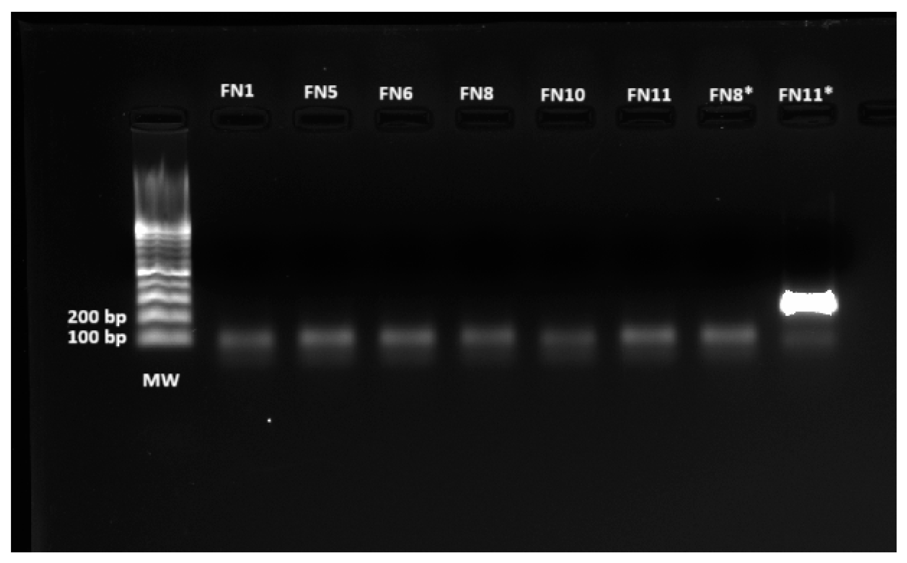 Viruses 17 00345 g006